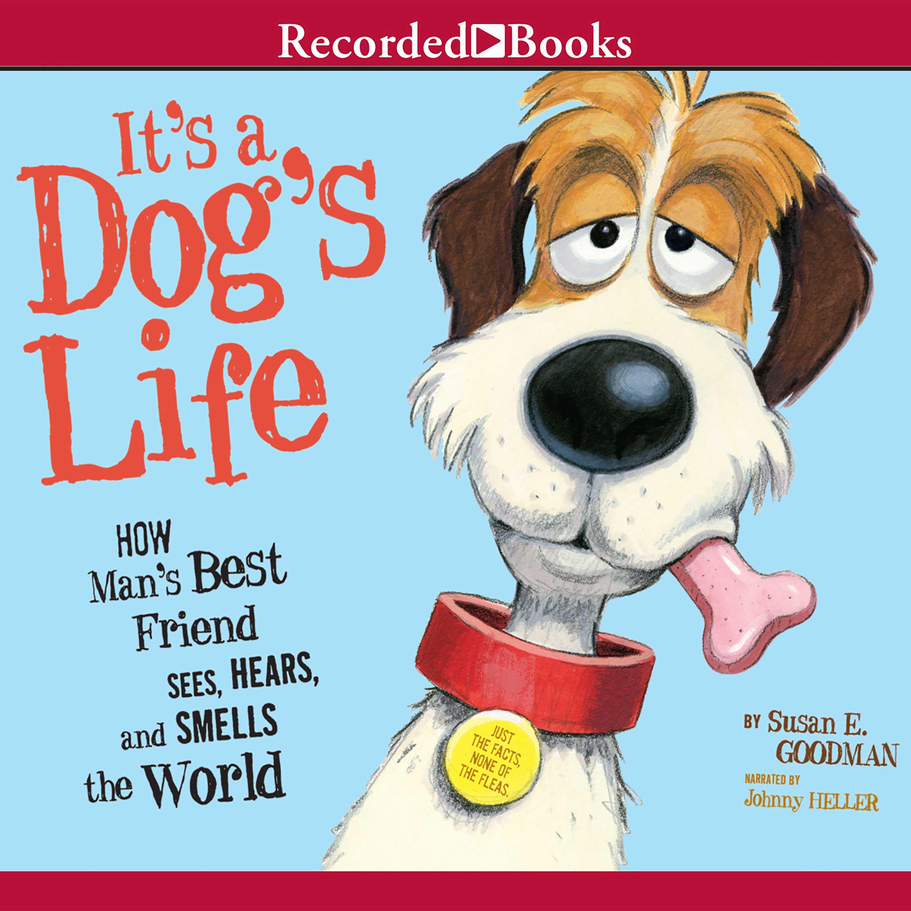 It's a Dog's Life