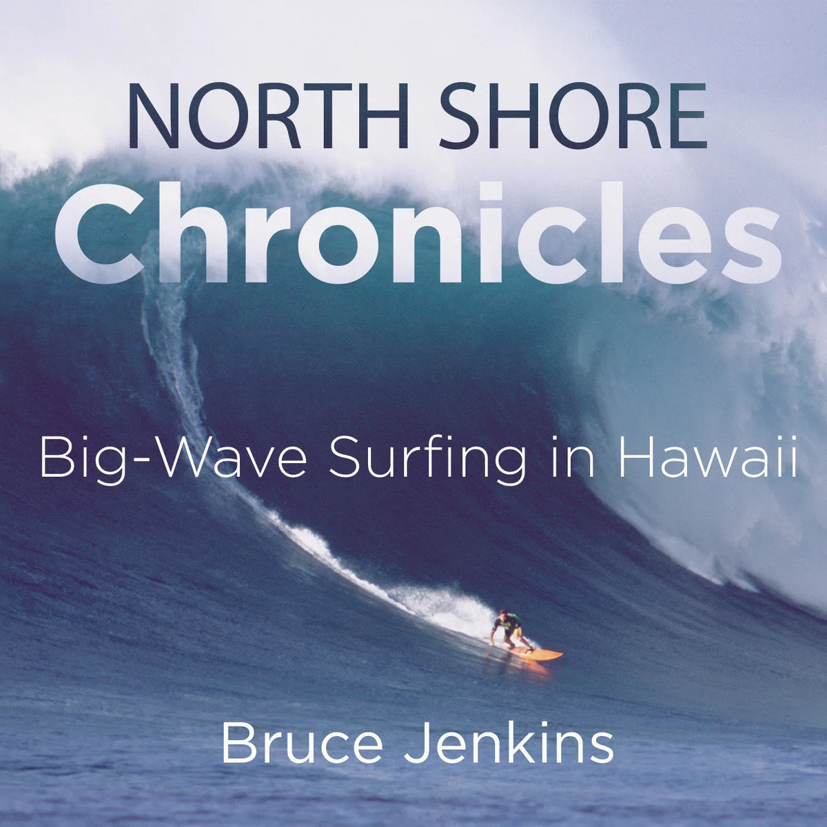 North Shore Chronicles