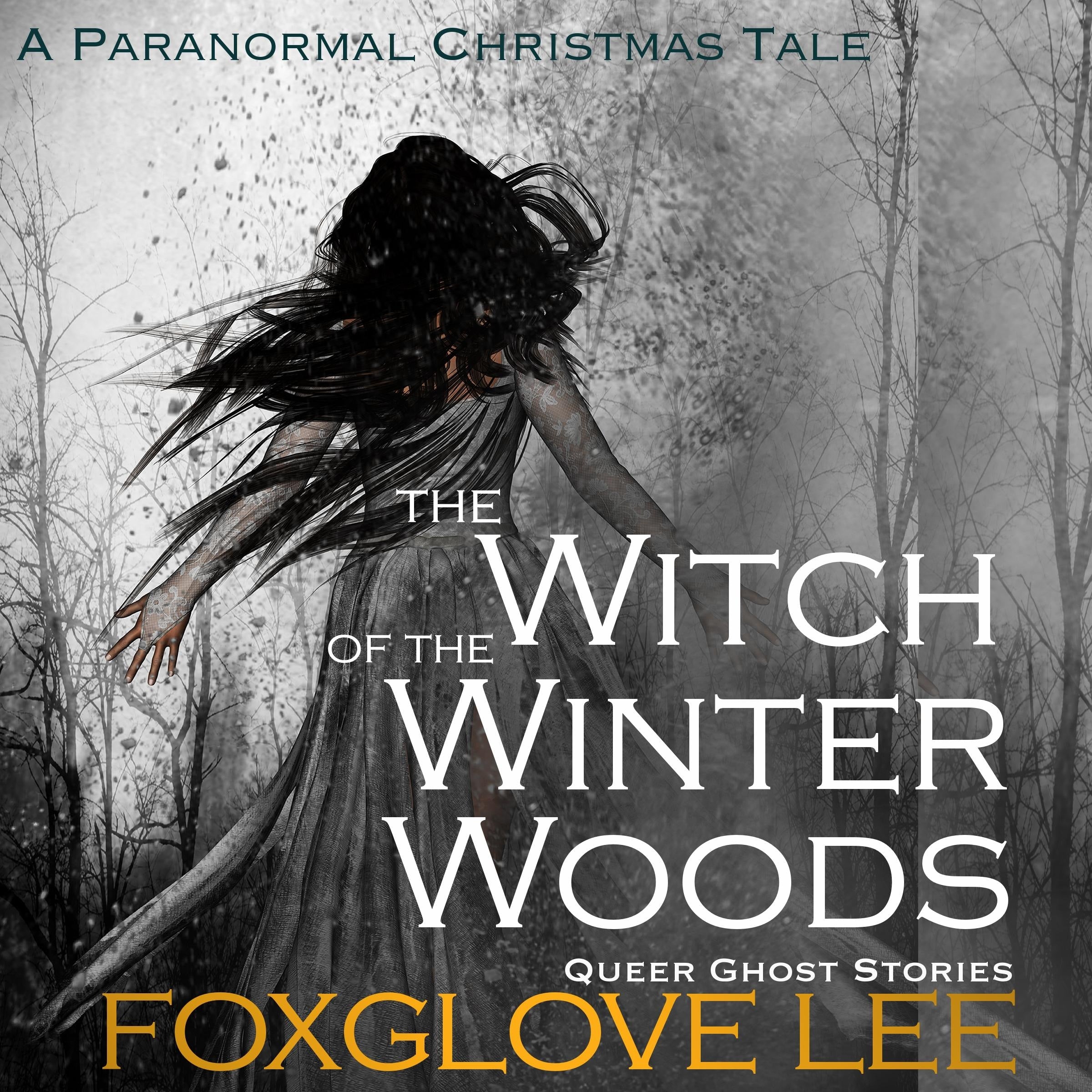 The Witch of the Winter Woods