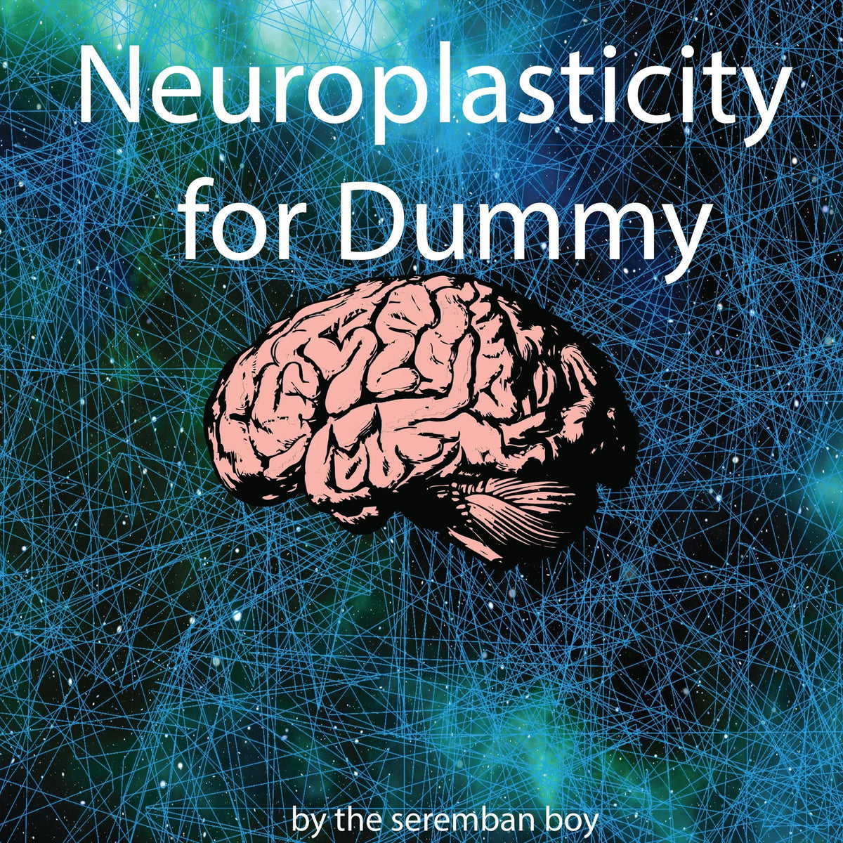 Neuroplasticity for Dummy