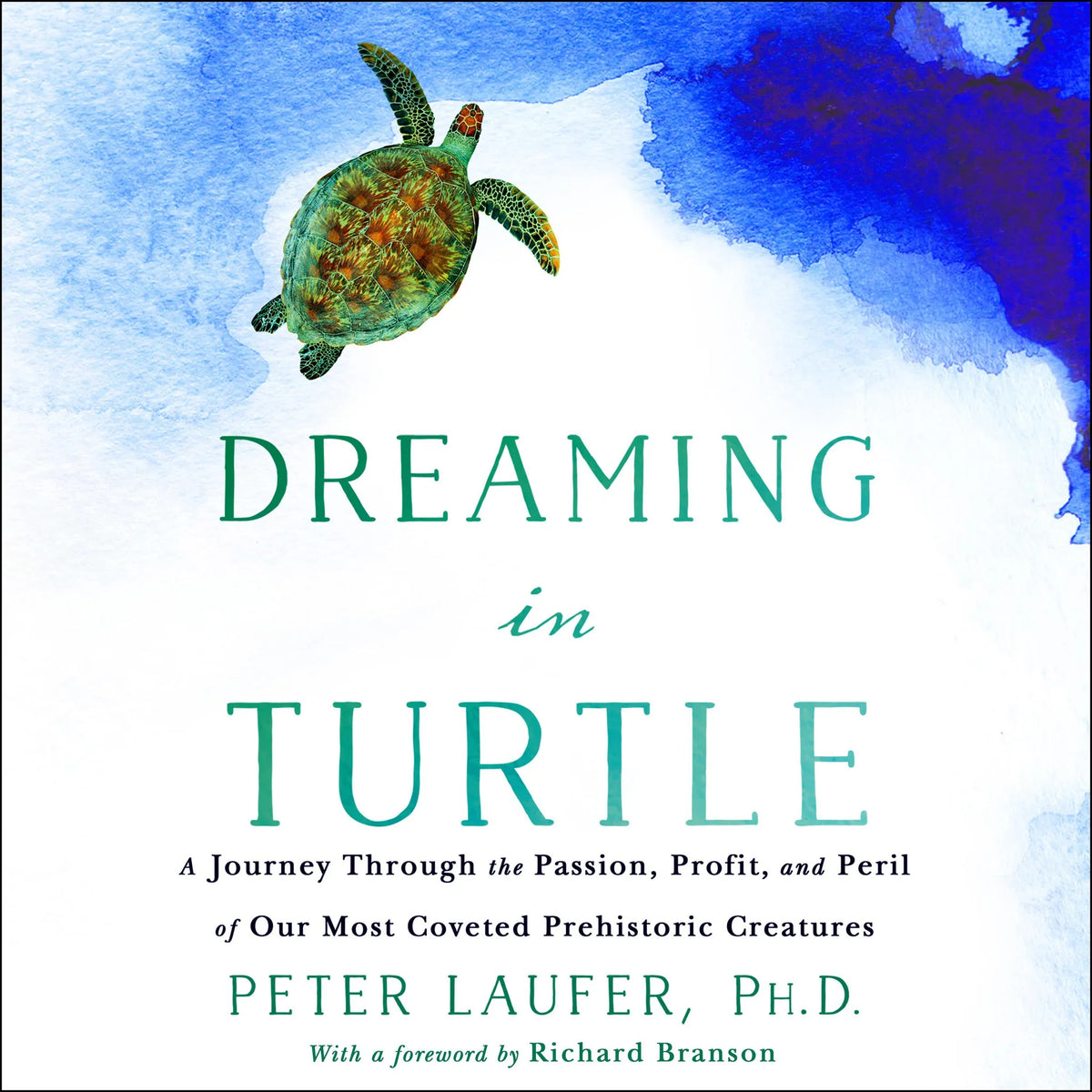 Dreaming in Turtle