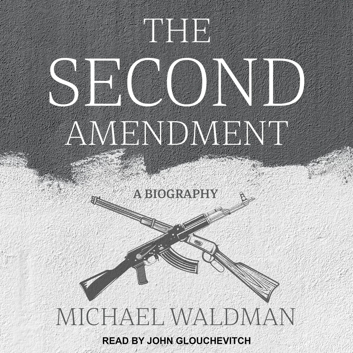 The Second Amendment