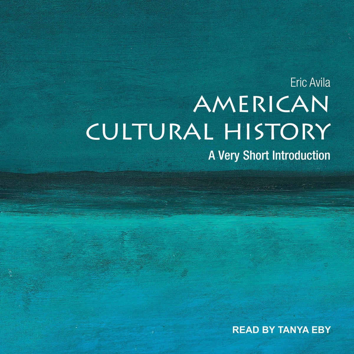 American Cultural History