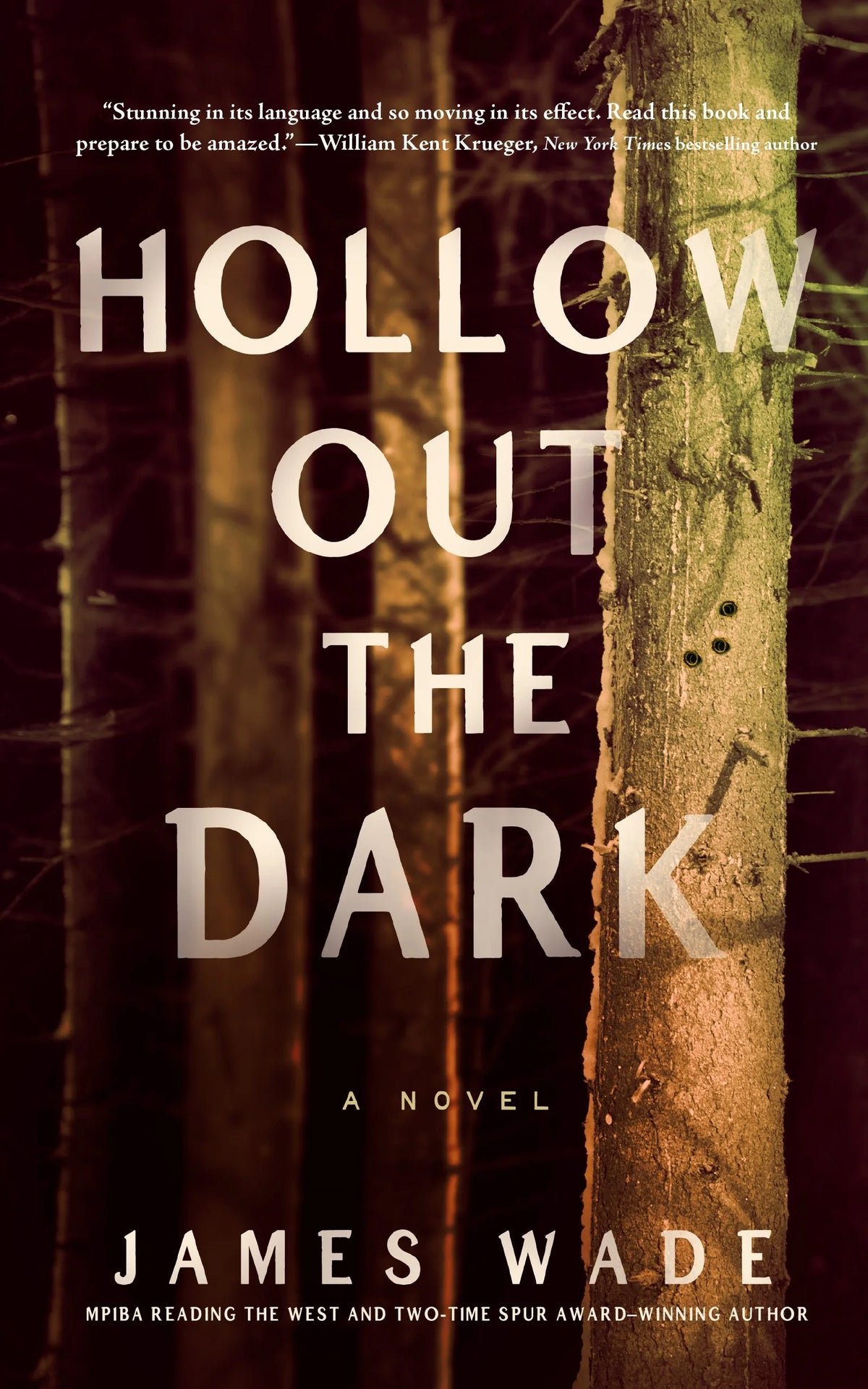 Hollow Out the Dark