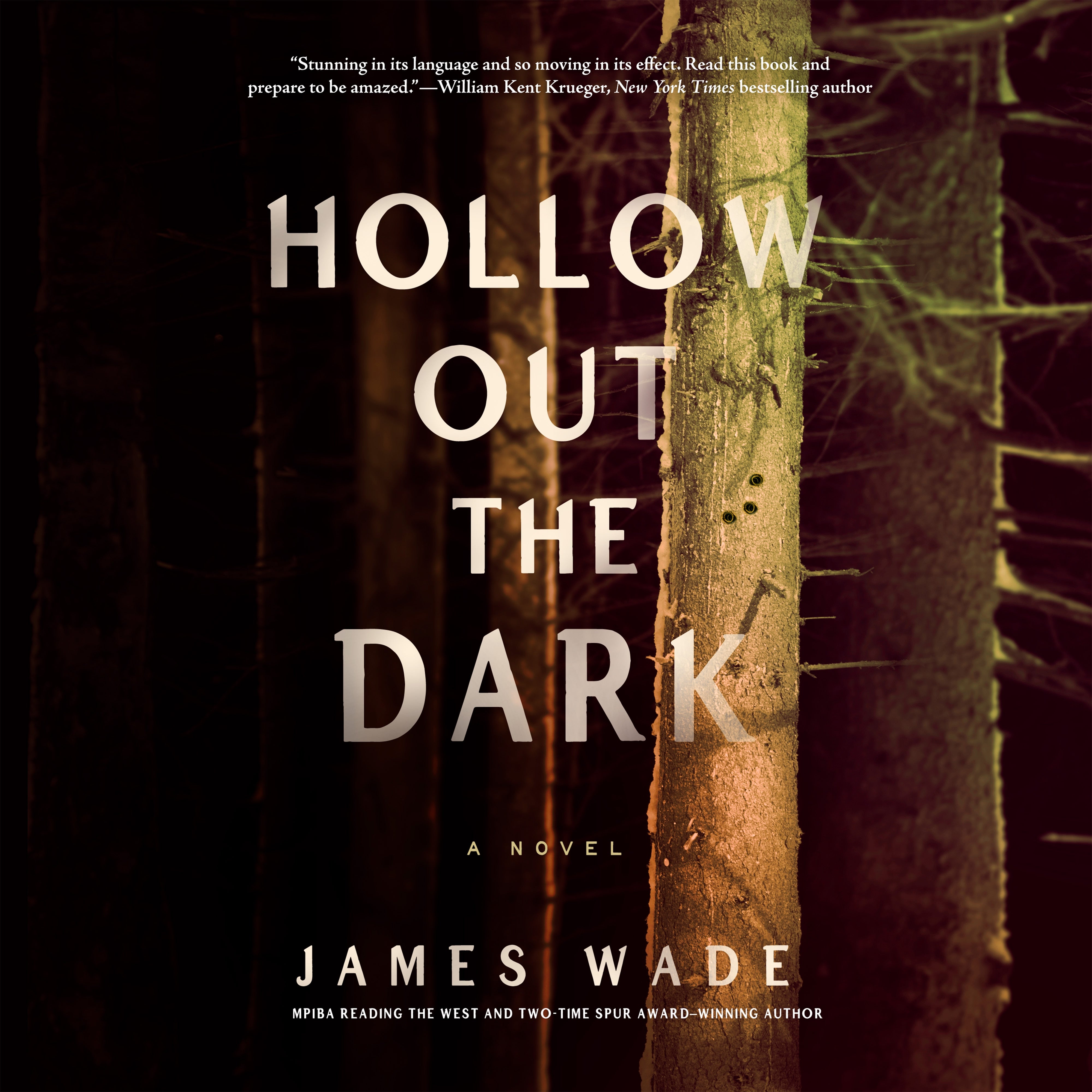 Hollow Out the Dark