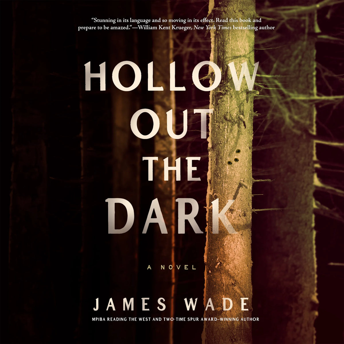 Hollow Out the Dark