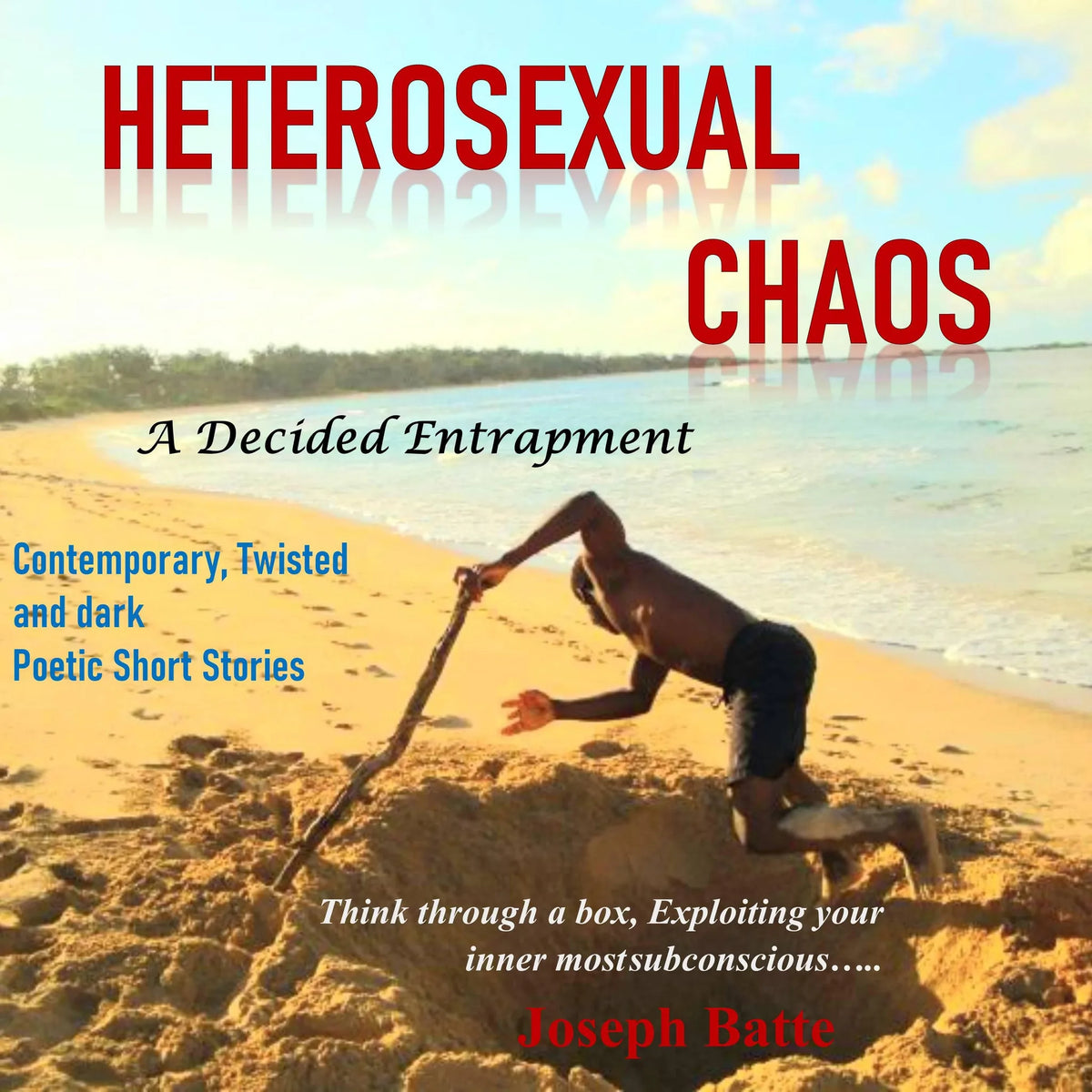 HeteroSexual Chaos