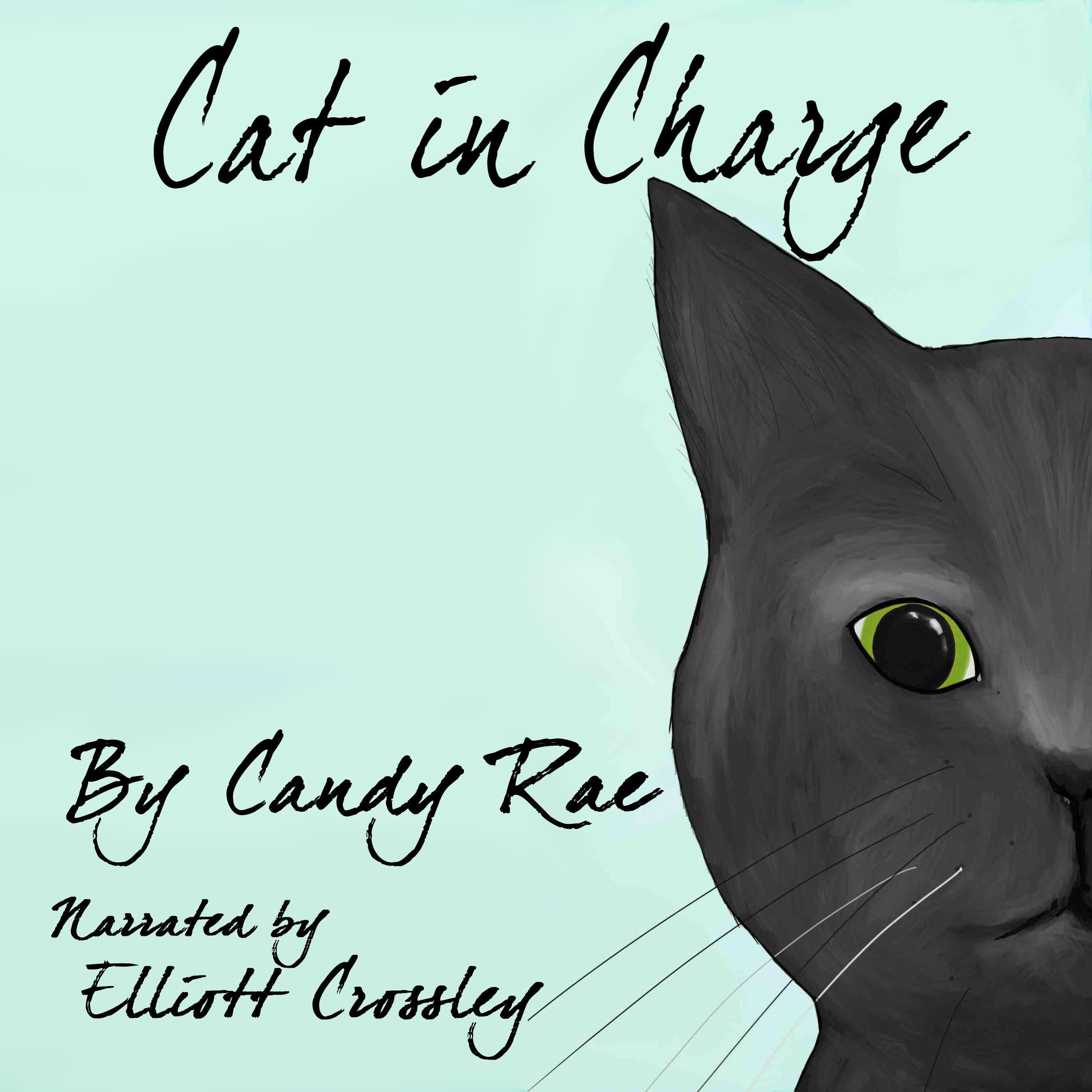 Cat in Charge