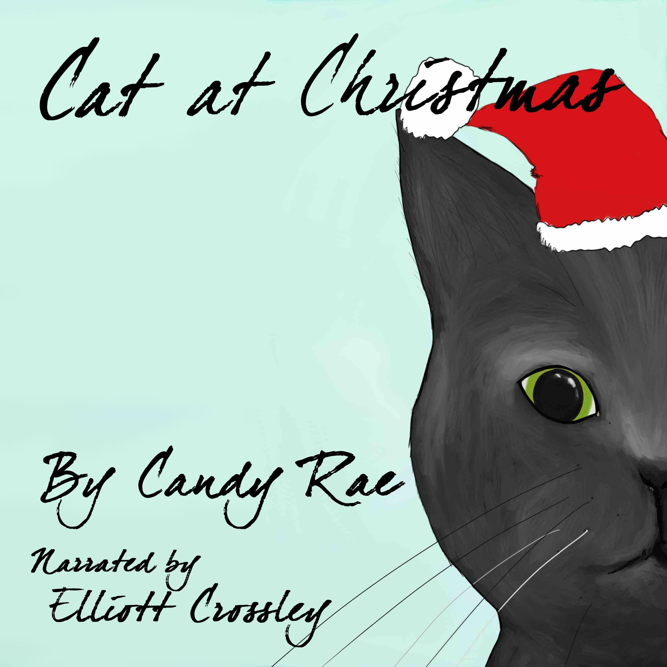 Cat at Christmas