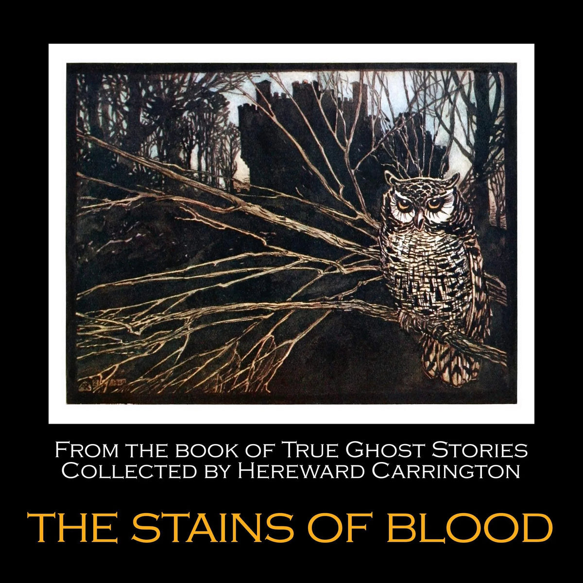 The Stains of Blood