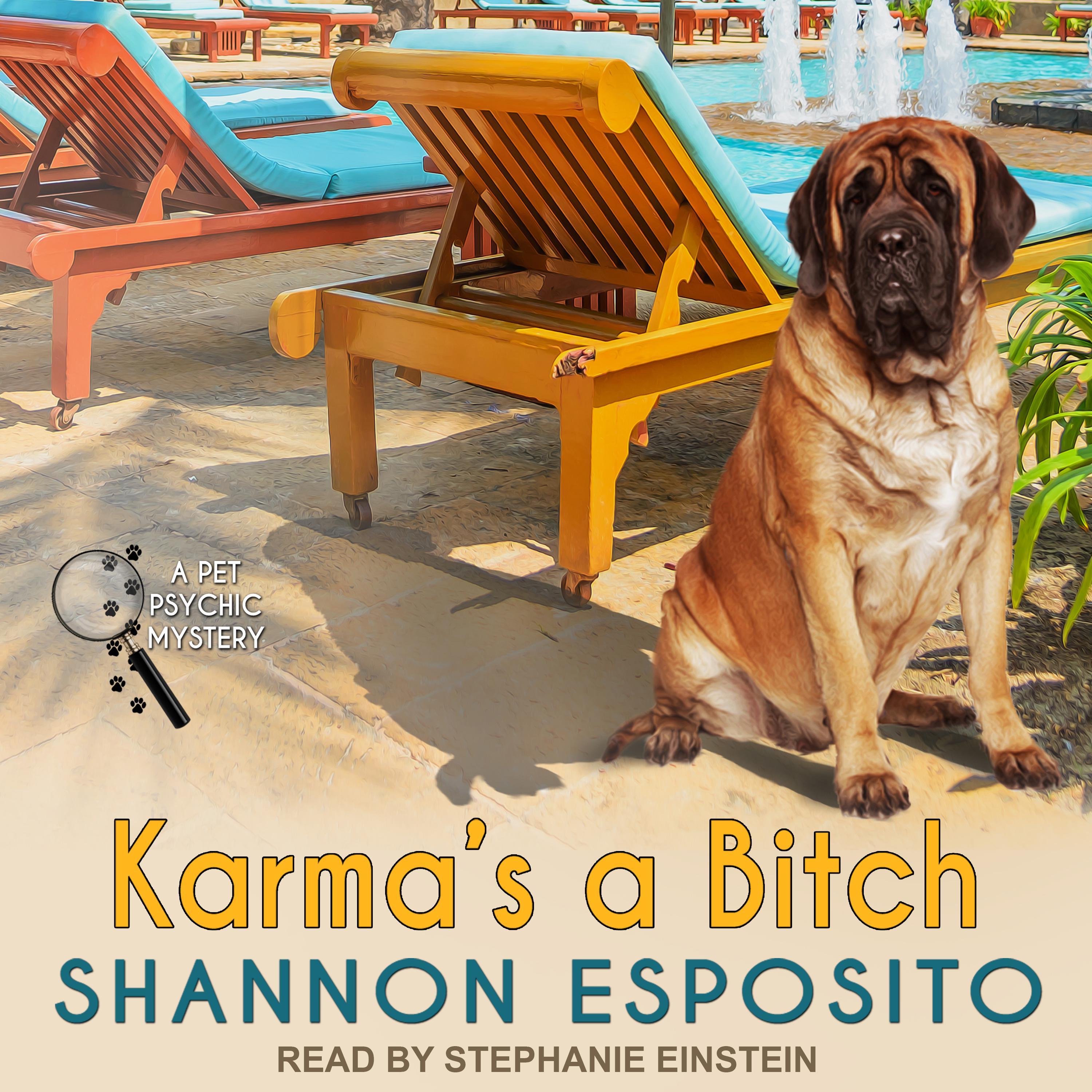 Karma's A Bitch