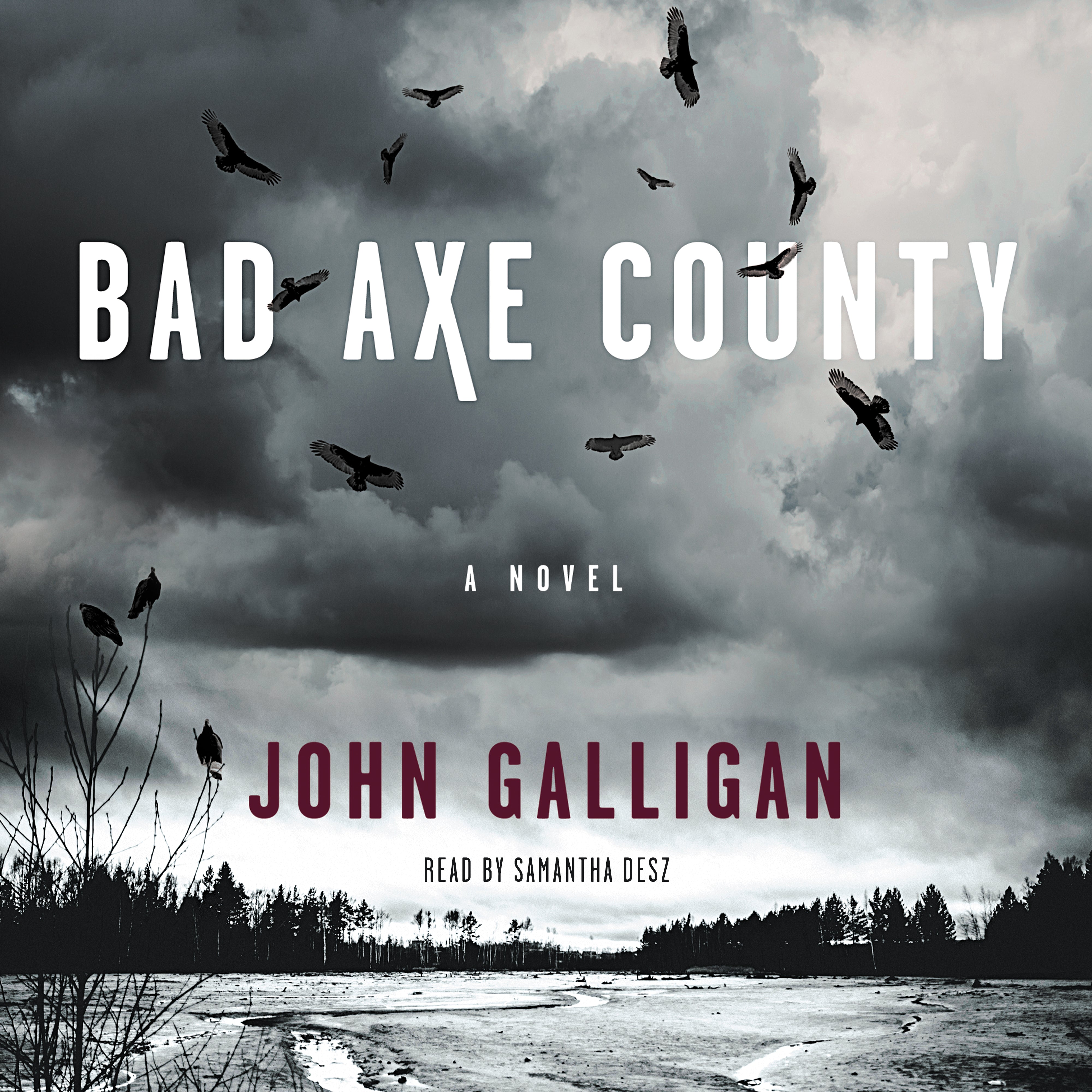 Bad Axe County