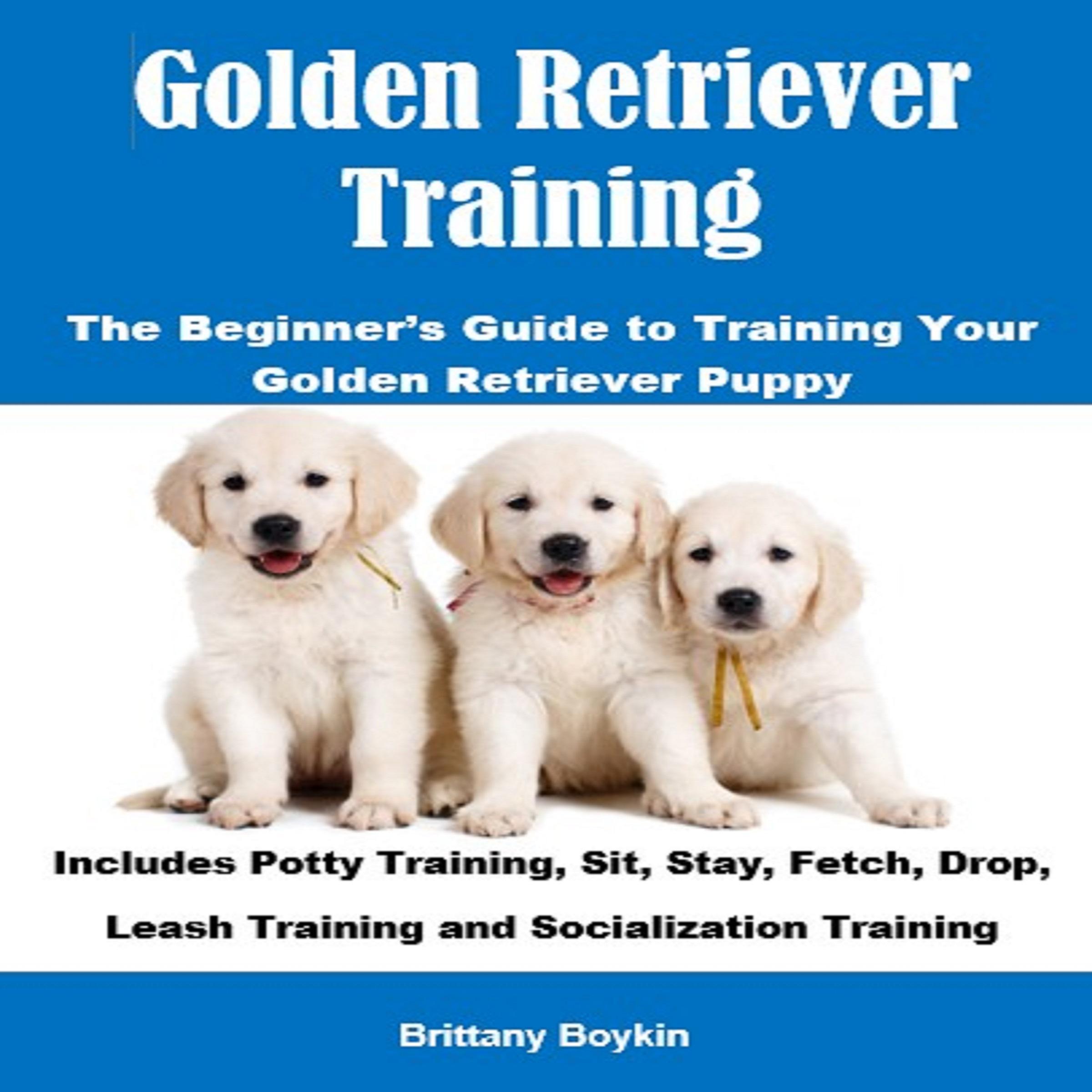 Golden Retriever Training: The Beginner's Guide to Training Your Golden Retriever Puppy