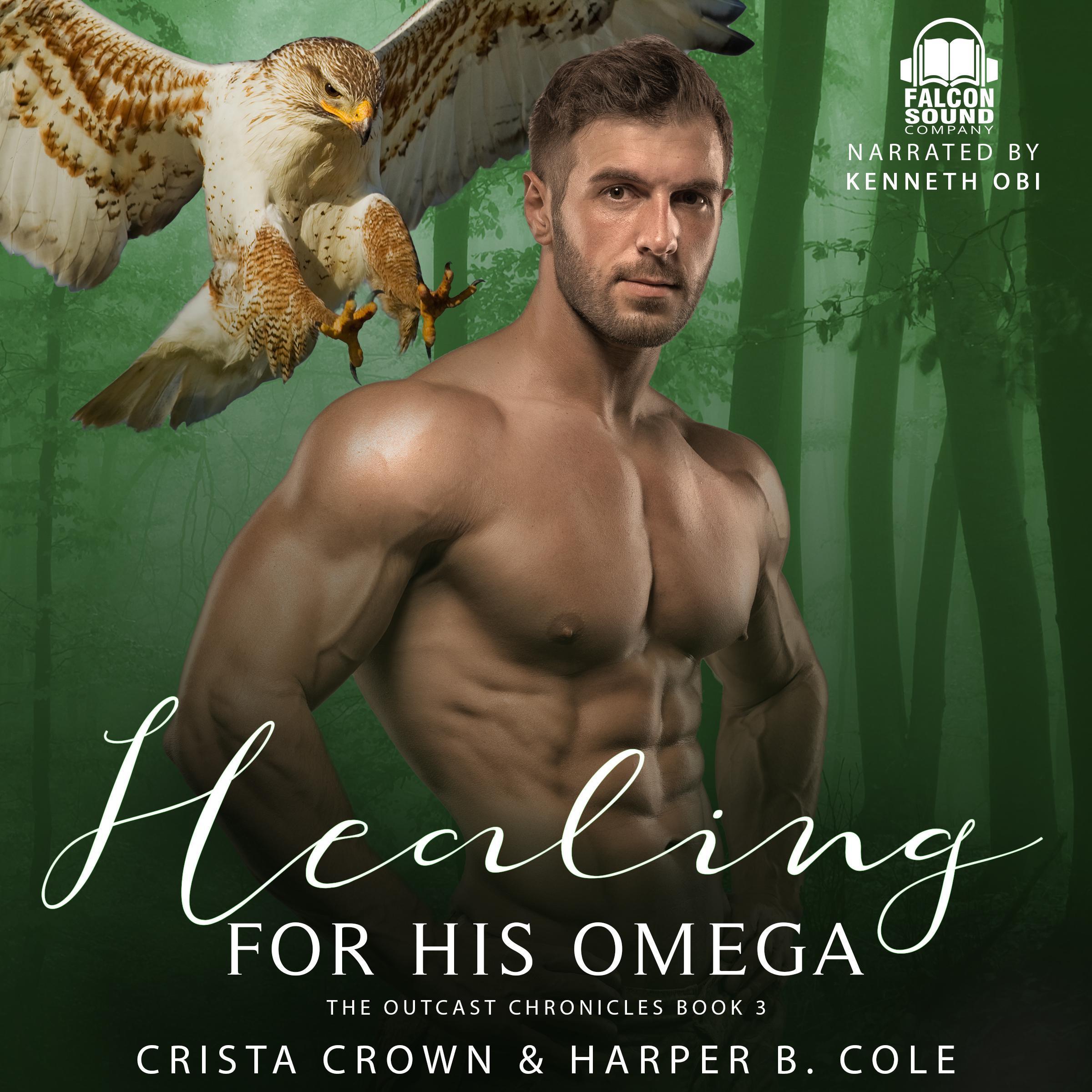 Healing For His Omega