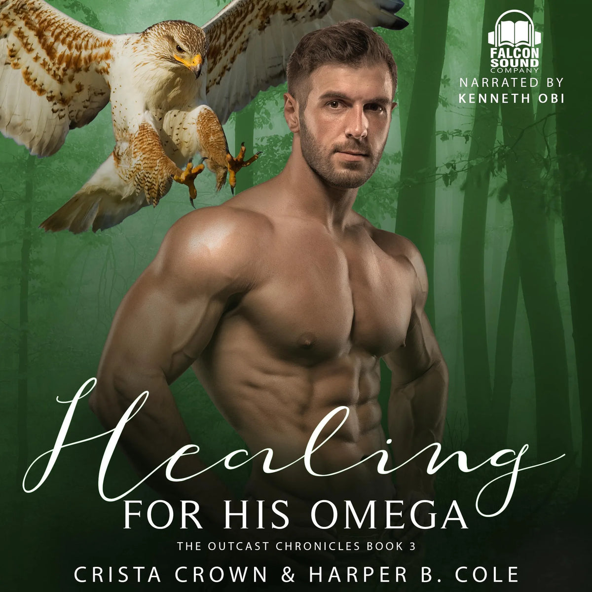Healing For His Omega