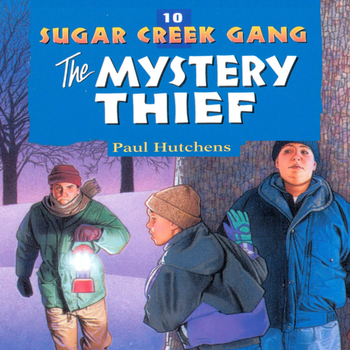 The Mystery Thief