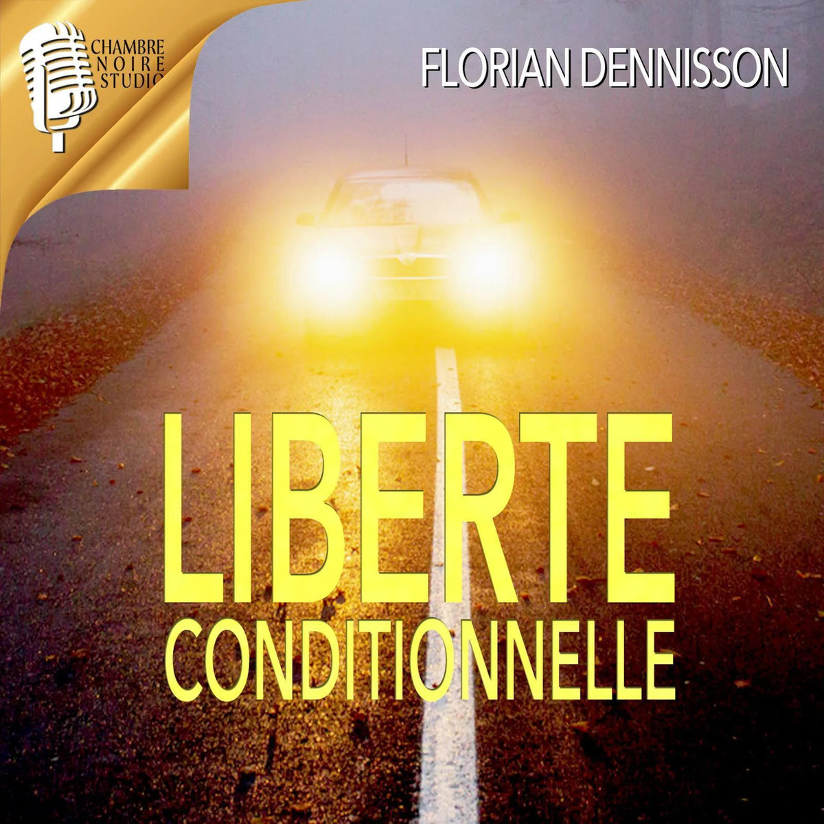 Liberté conditionnelle