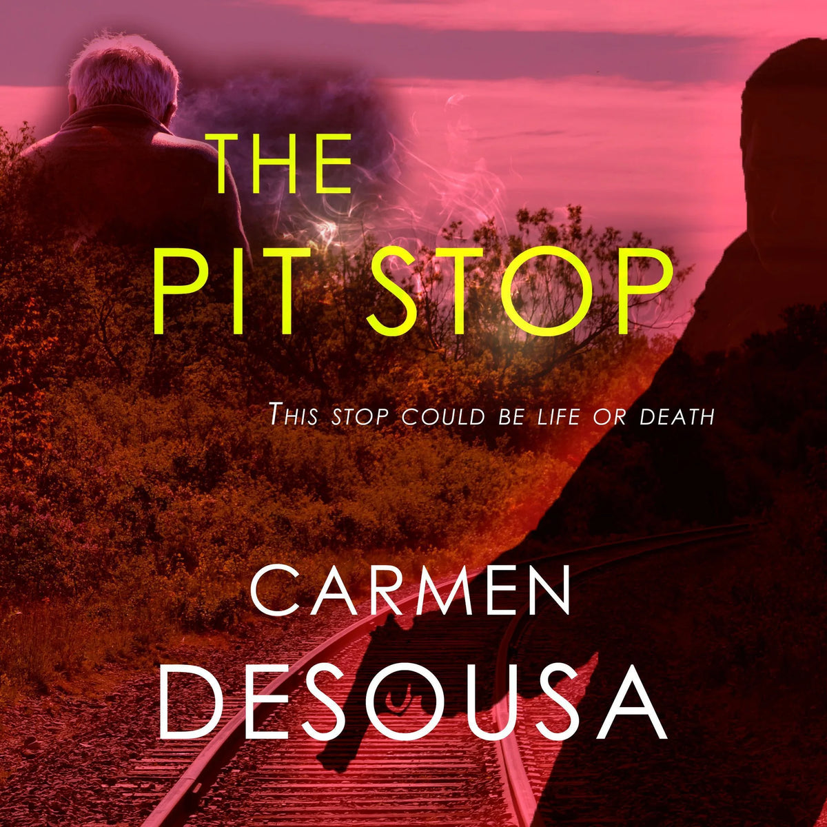 The Pit Stop