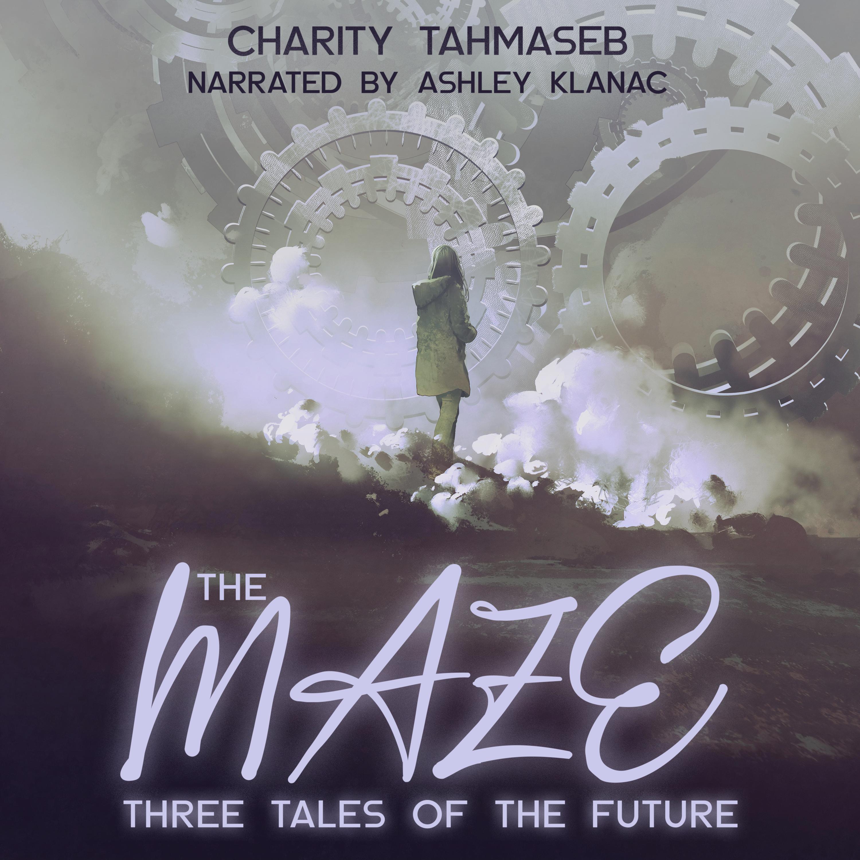 The Maze