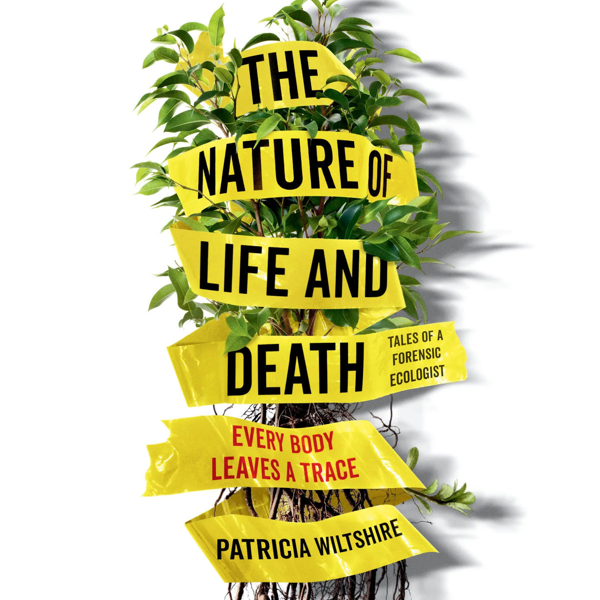 The Nature of Life and Death