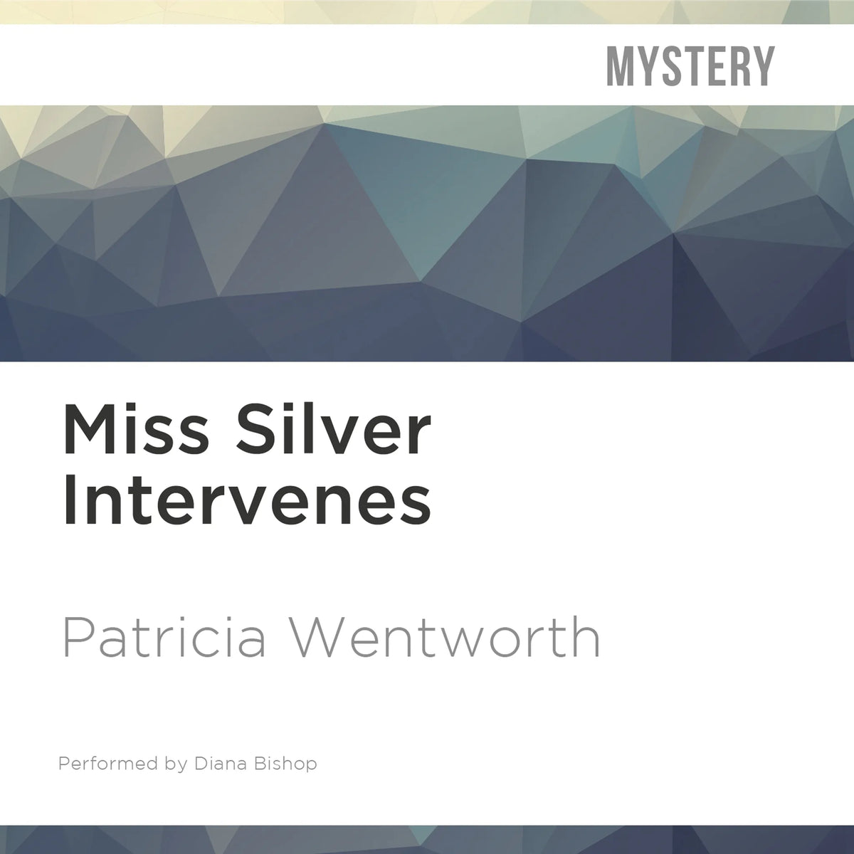 Miss Silver Intervenes