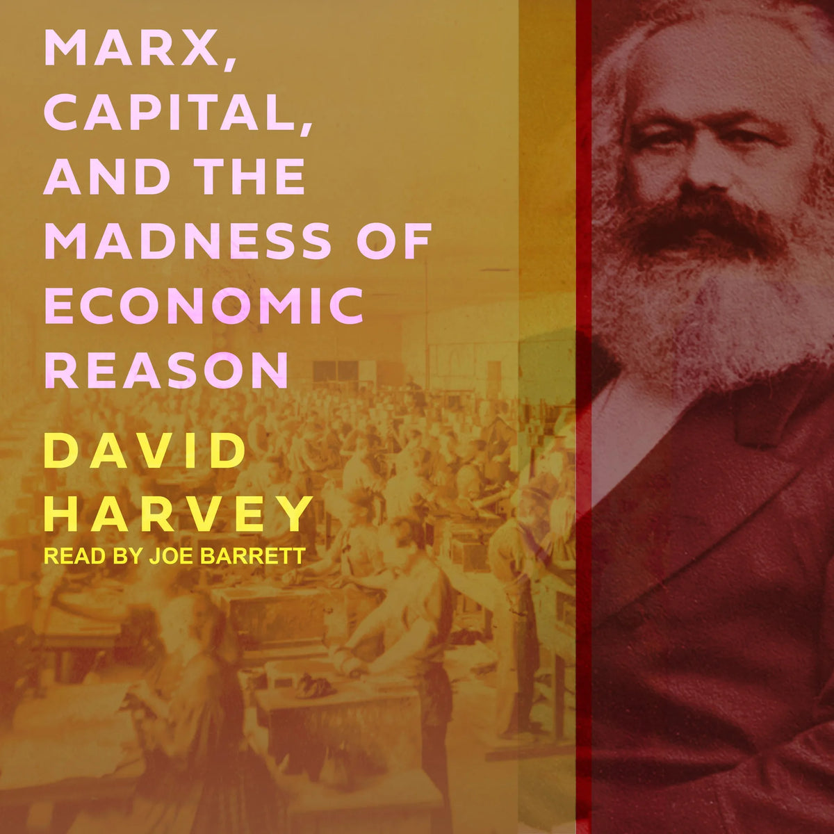 Marx, Capital, and the Madness of Economic Reason