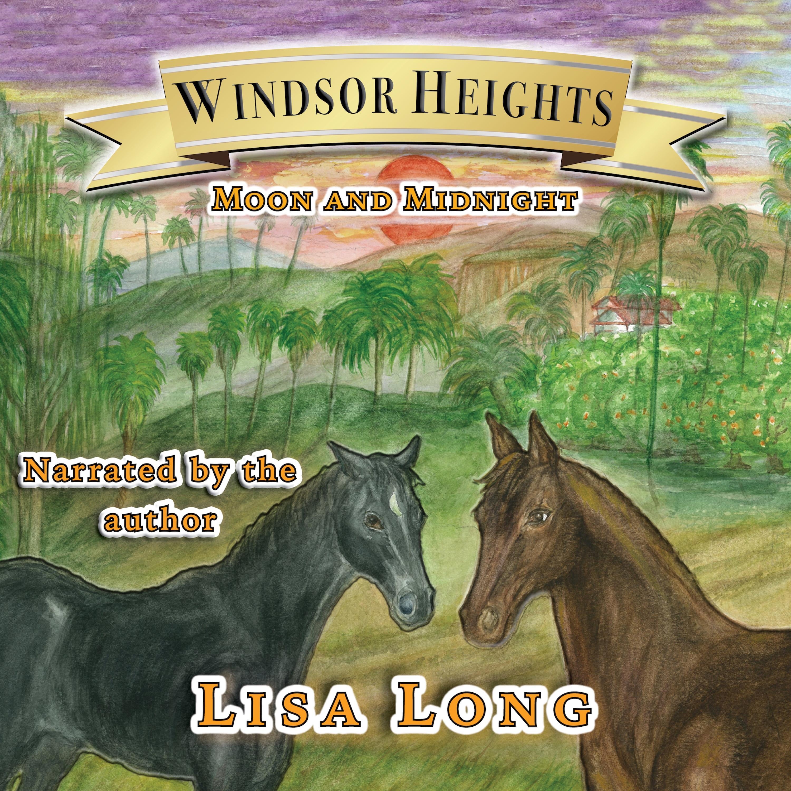 Windsor Heights Book 3 -  Moon and Midnight