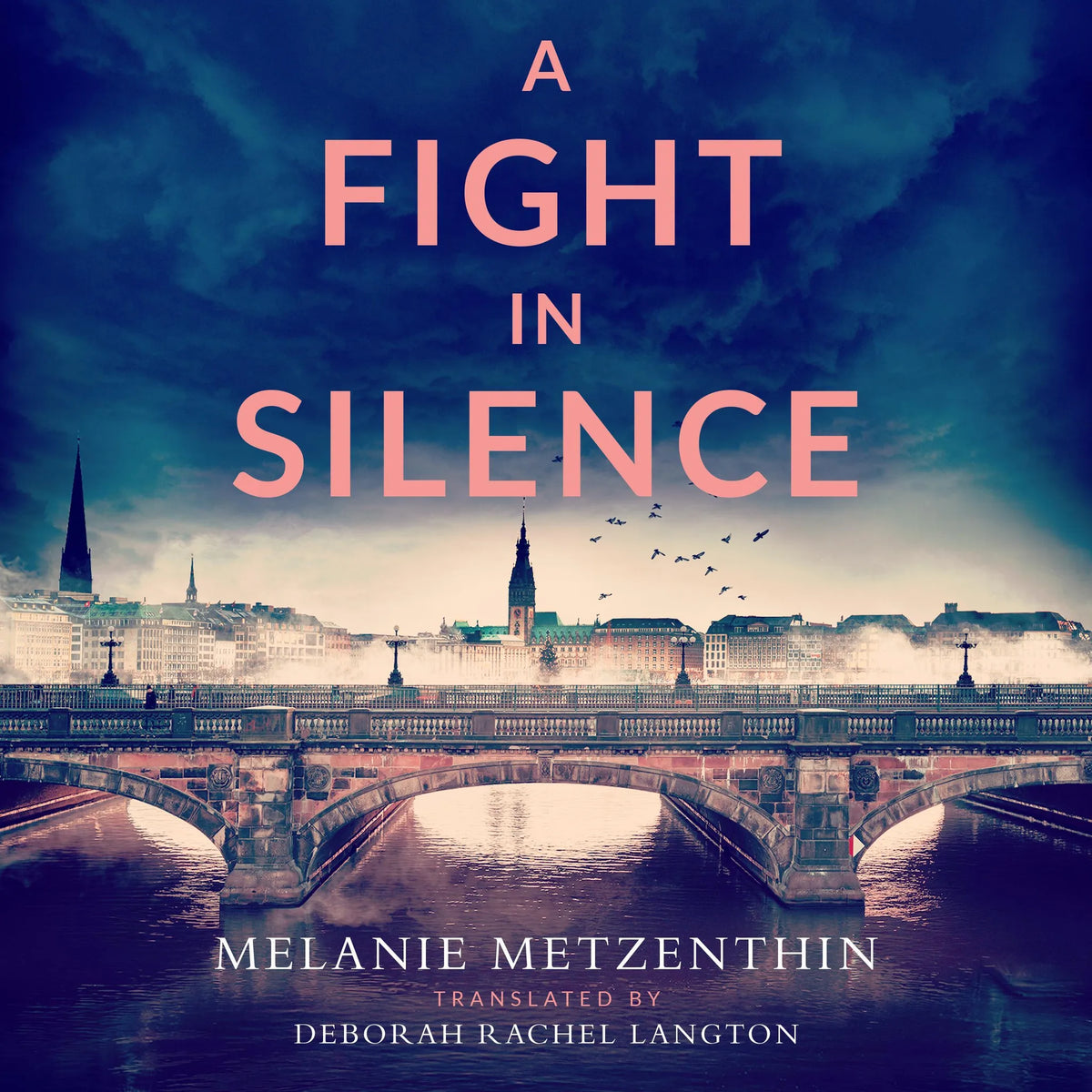 A Fight in Silence