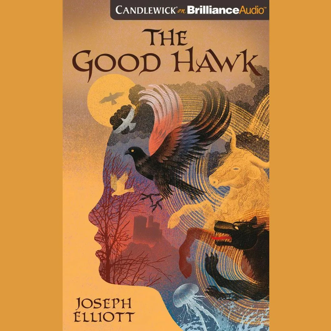 The Good Hawk