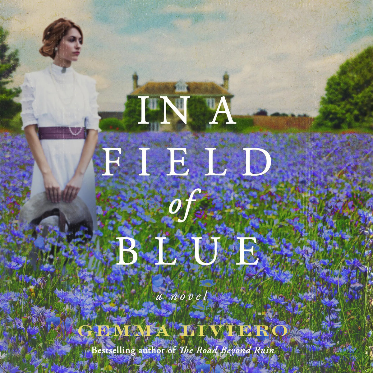 In a Field of Blue