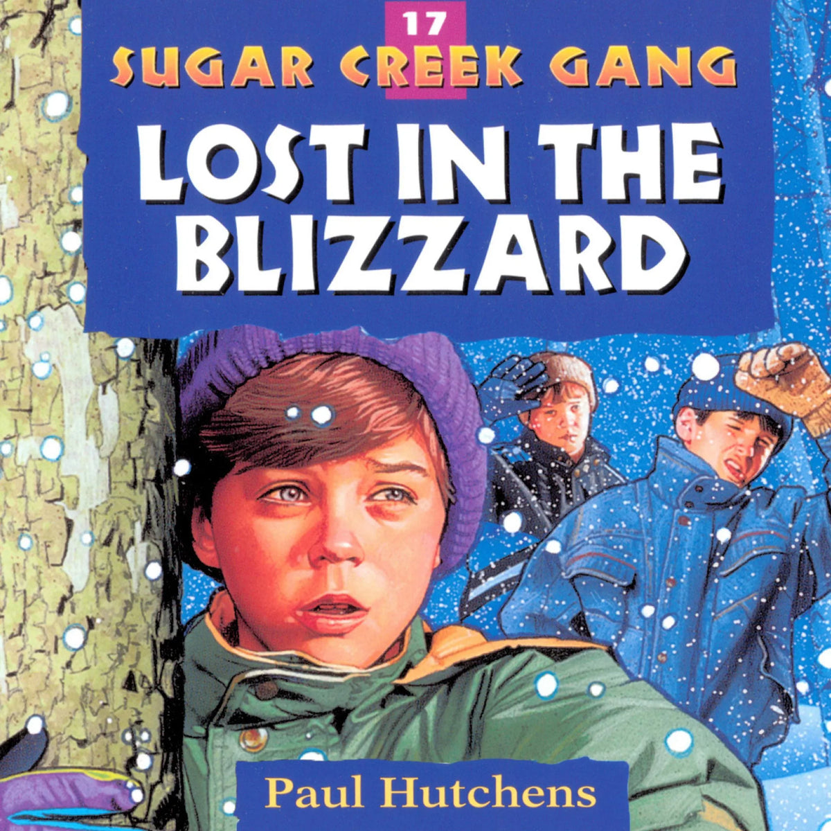 Lost in the Blizzard