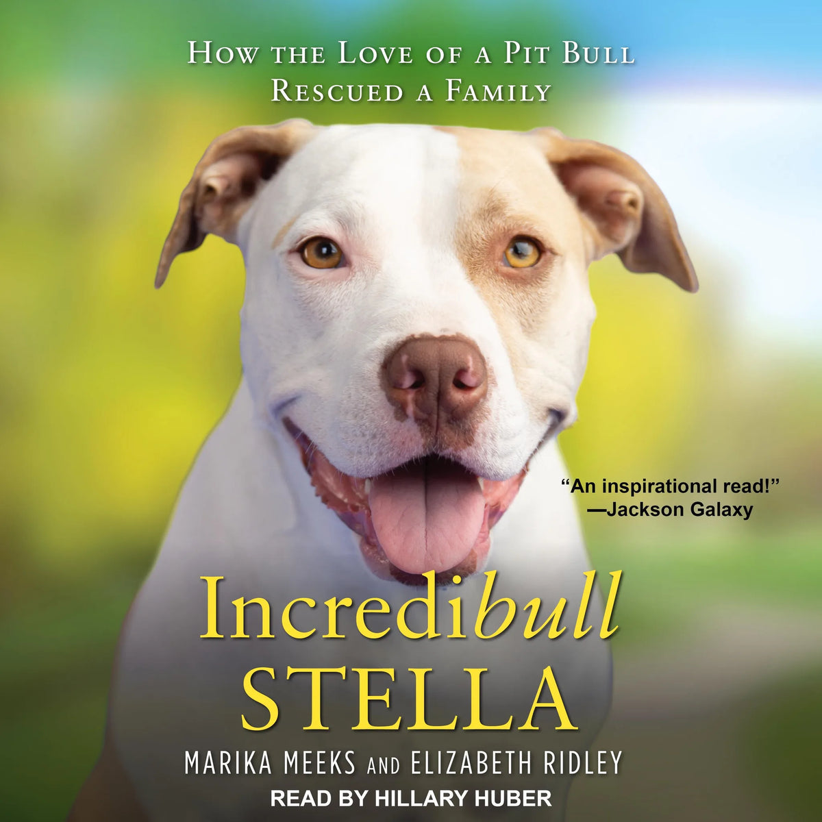 Incredibull Stella