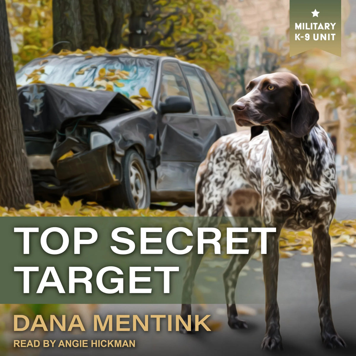 Top Secret Target