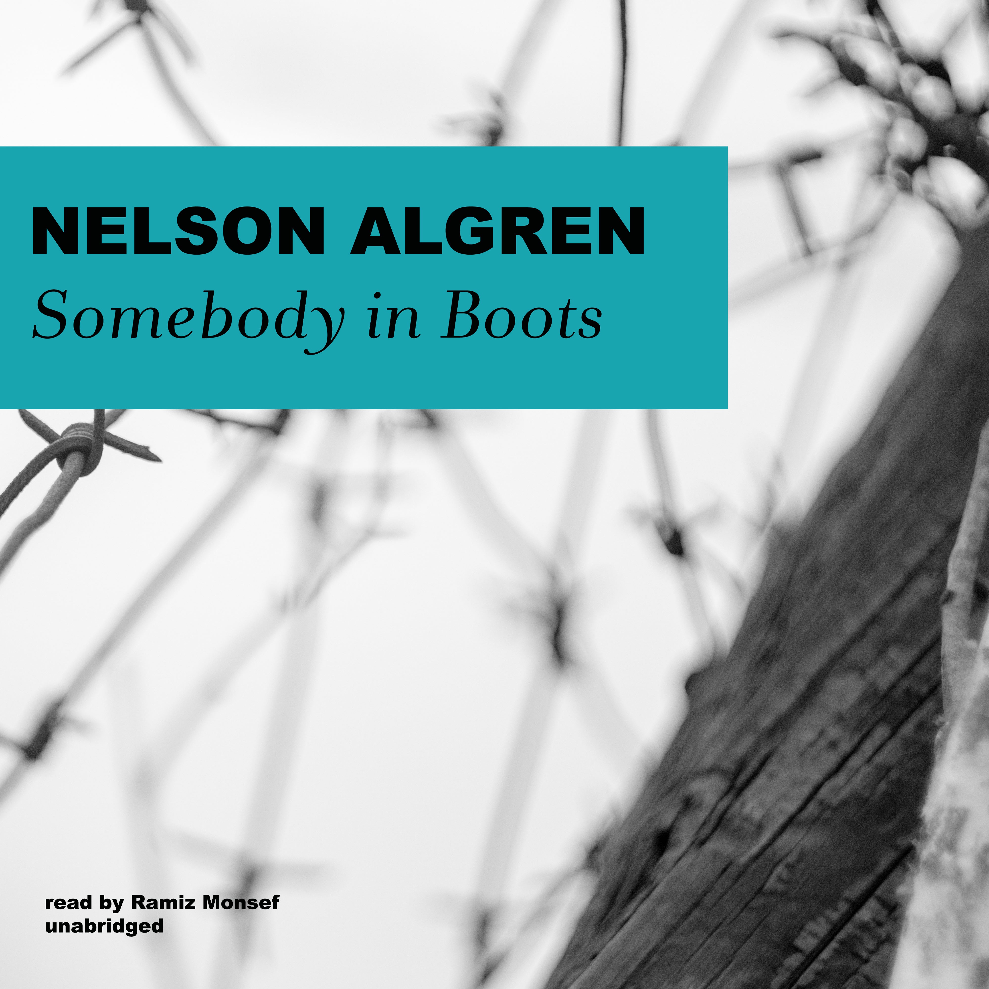 Somebody in Boots