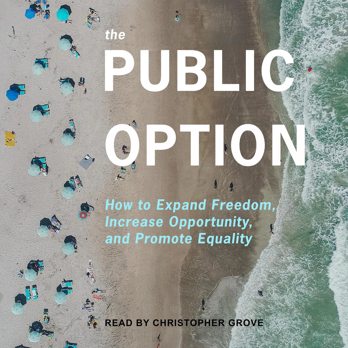 The Public Option
