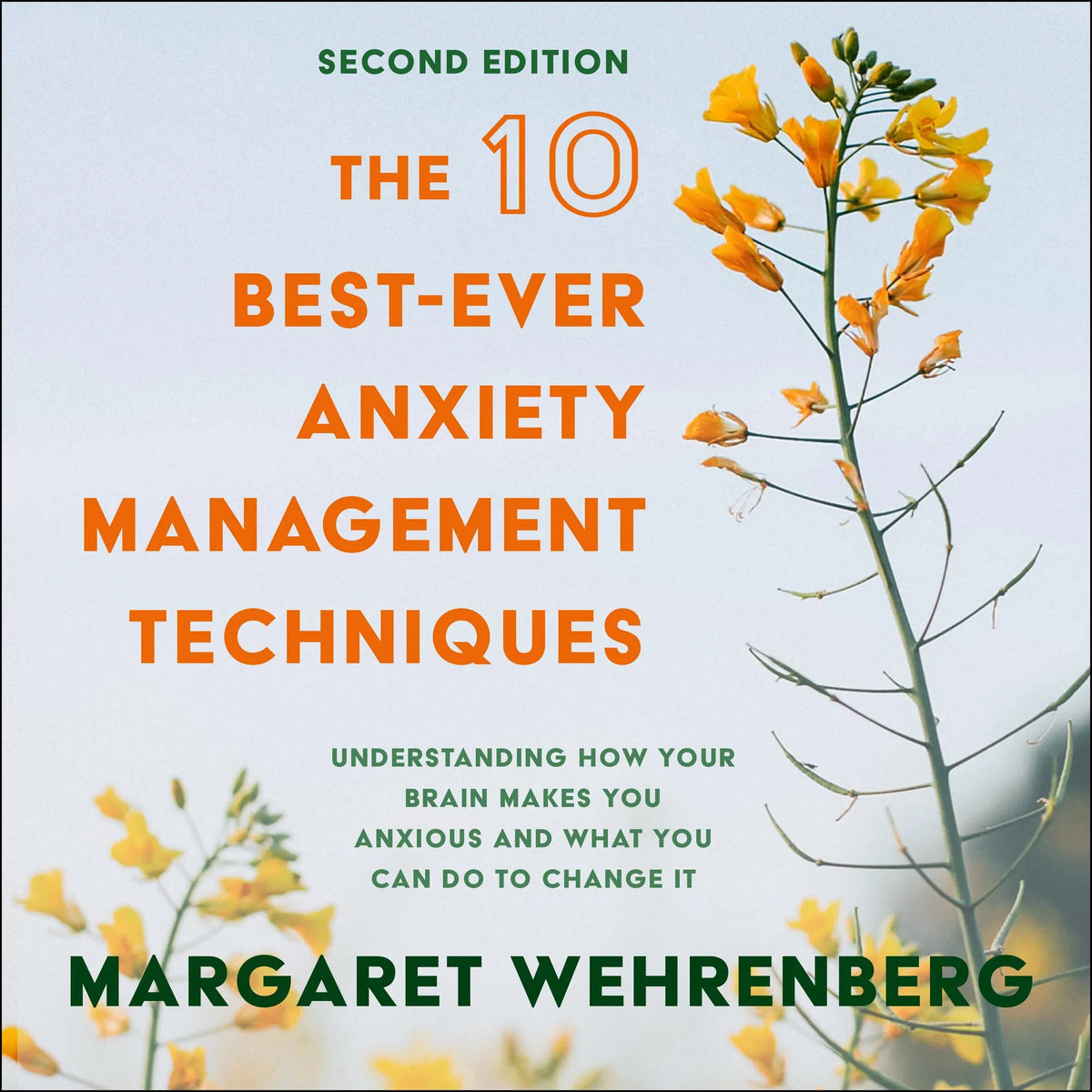 The 10 Best-Ever Anxiety Management Techniques