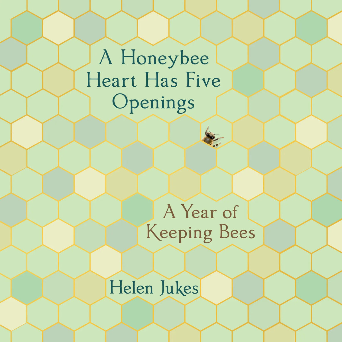 A Honeybee Heart Has Five Openings