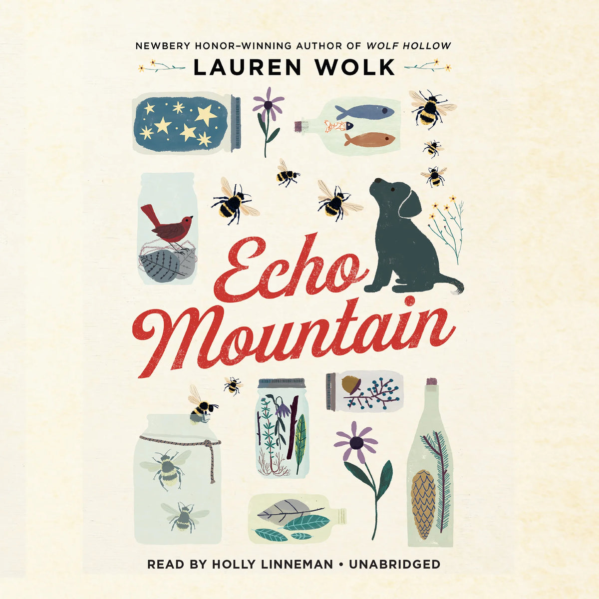 Echo Mountain