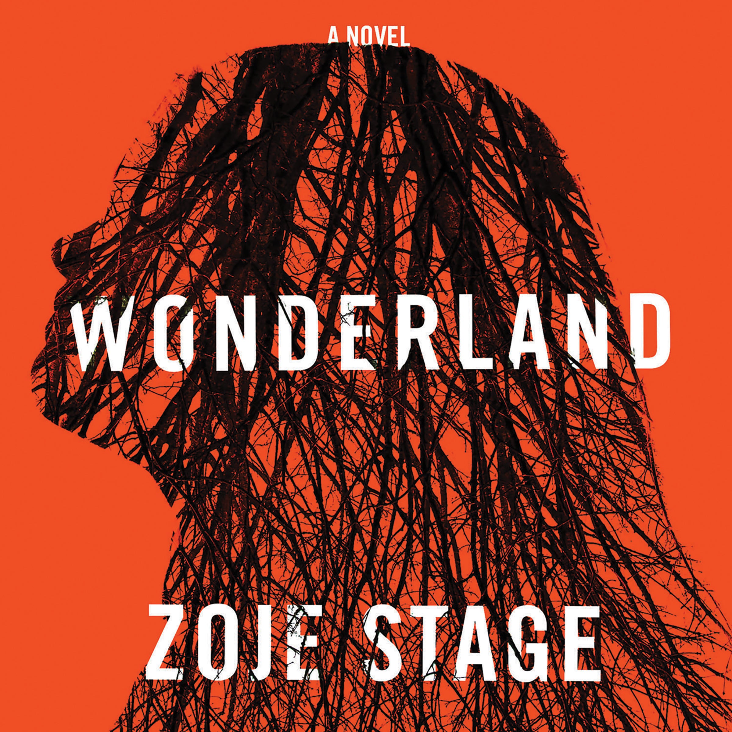Wonderland