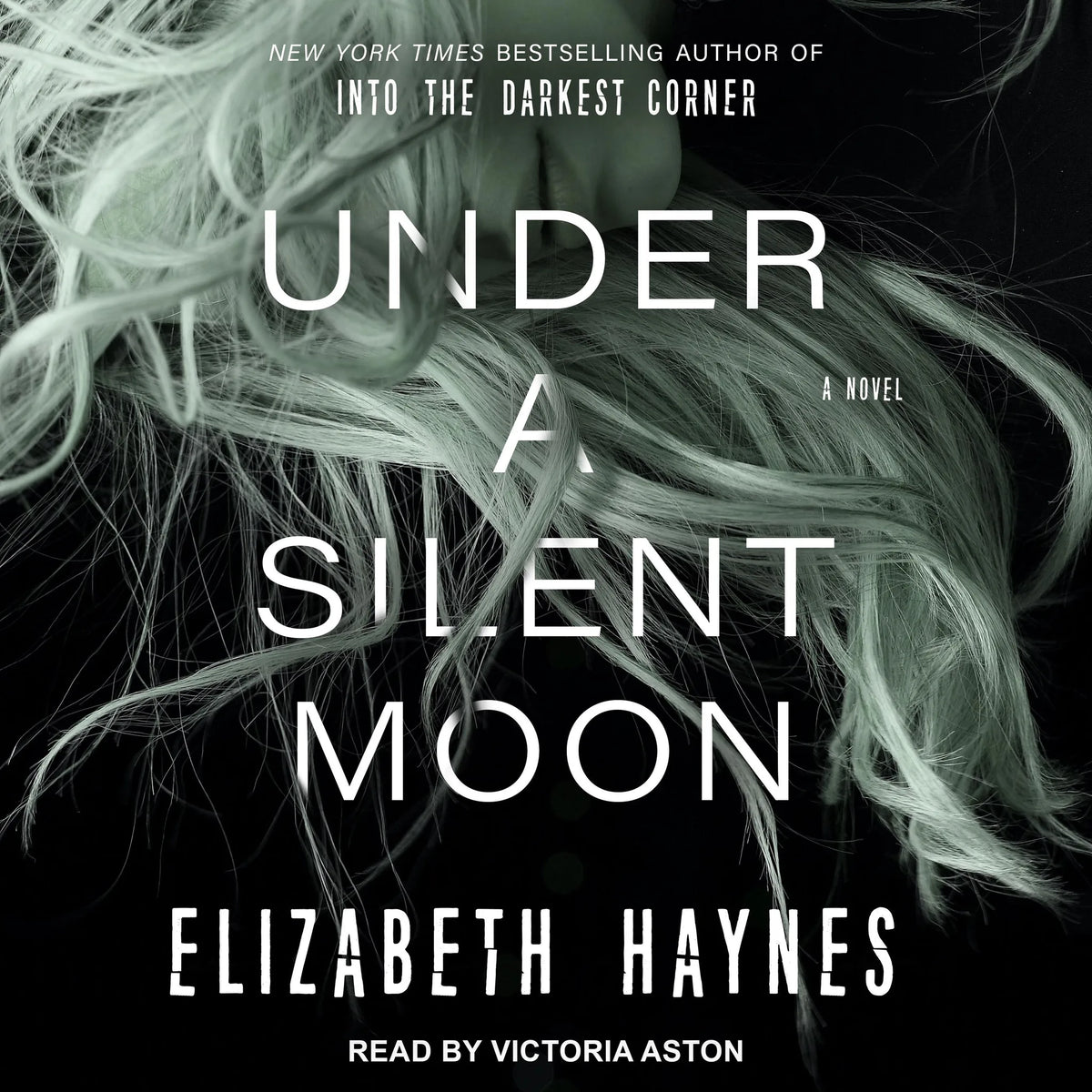 Under a Silent Moon