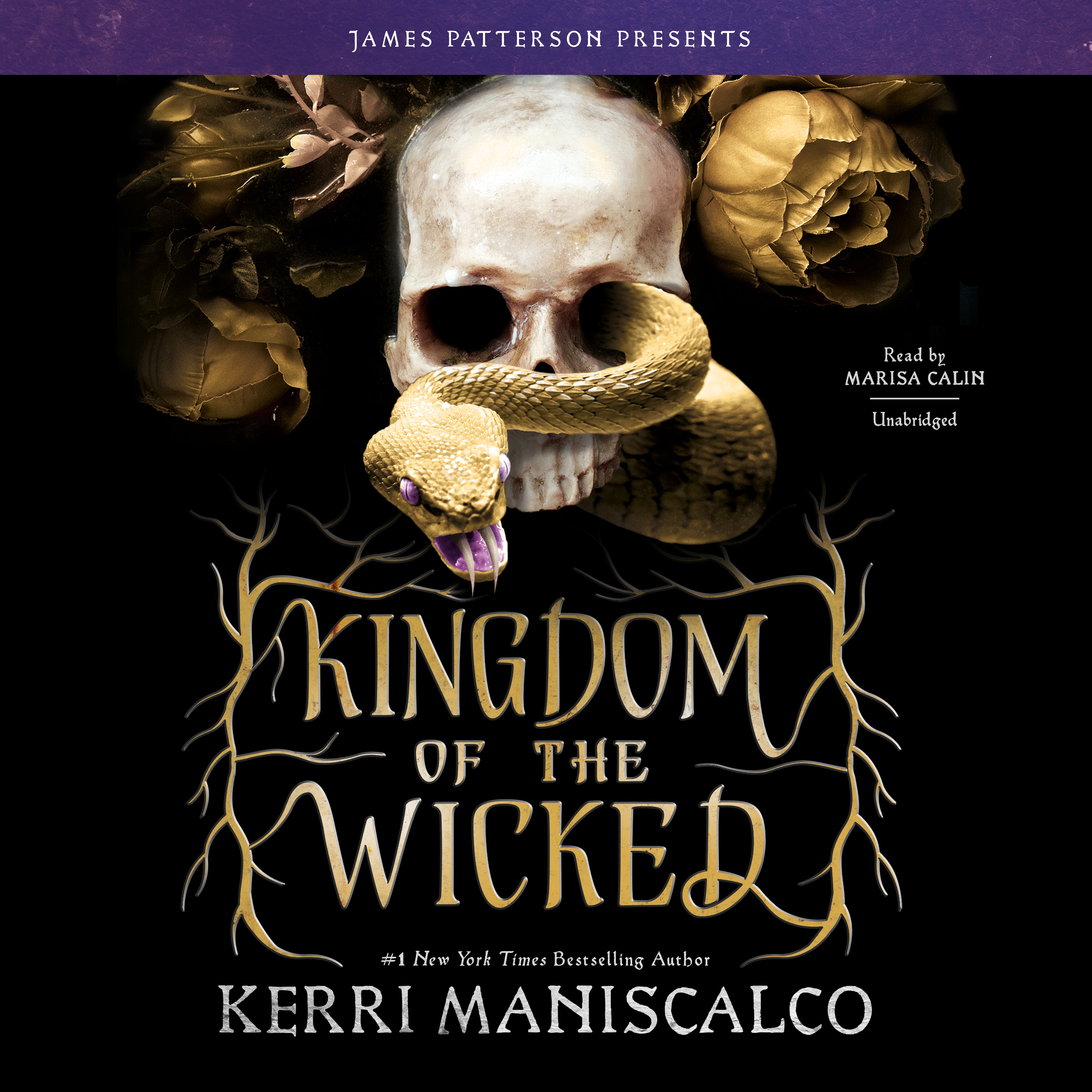 Kingdom of the Wicked