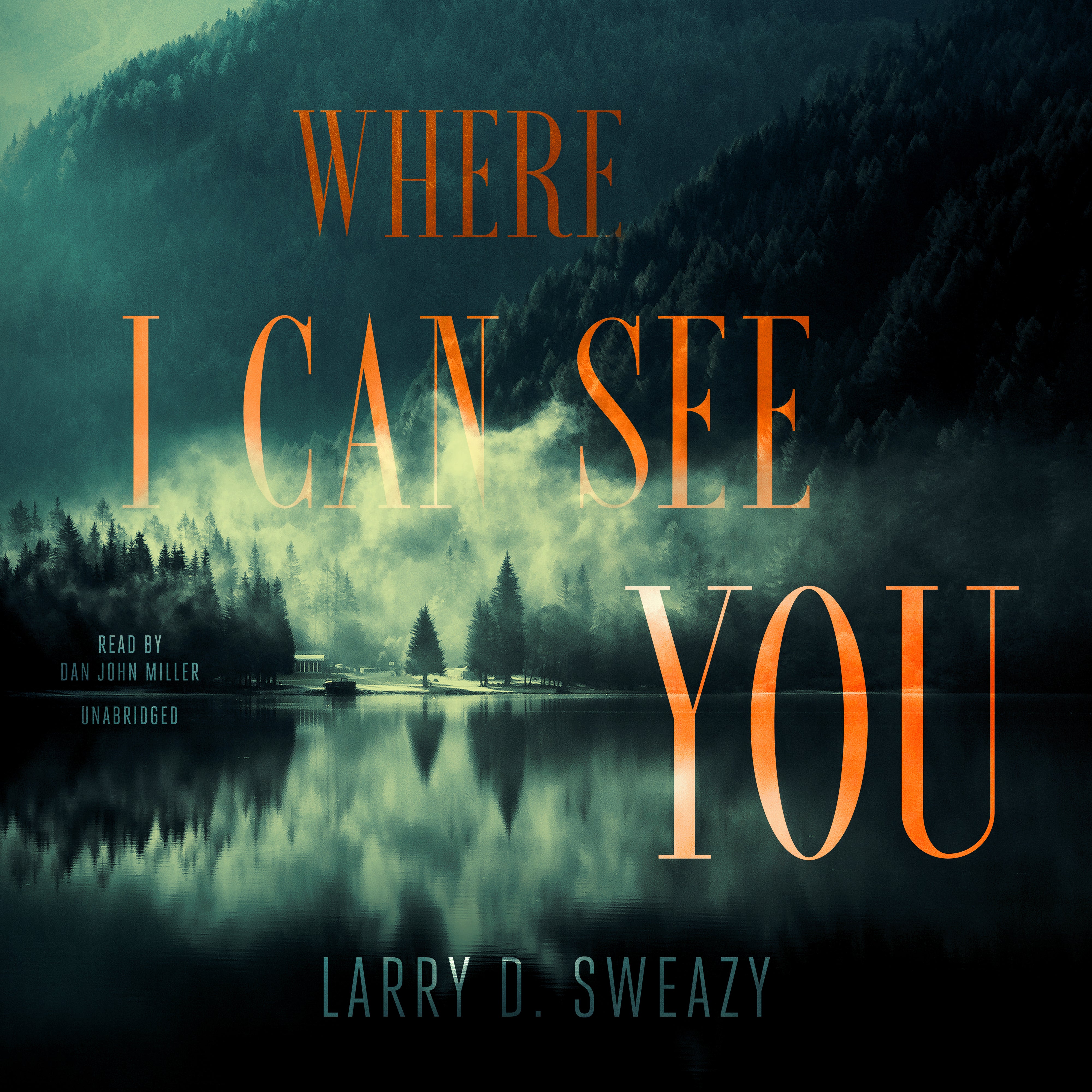 Where I Can See You