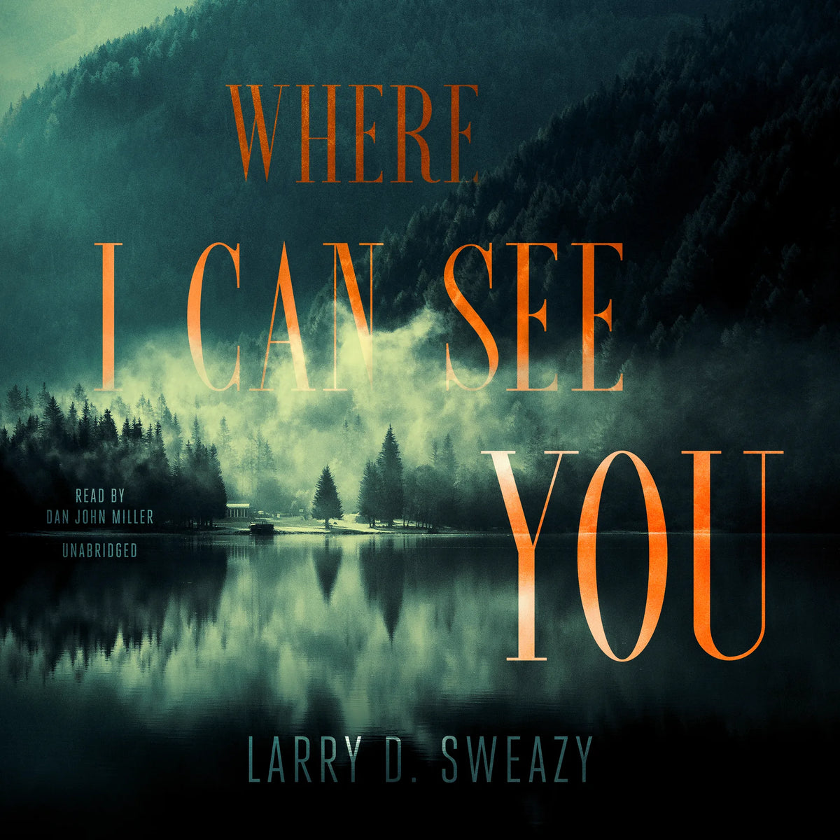 Where I Can See You