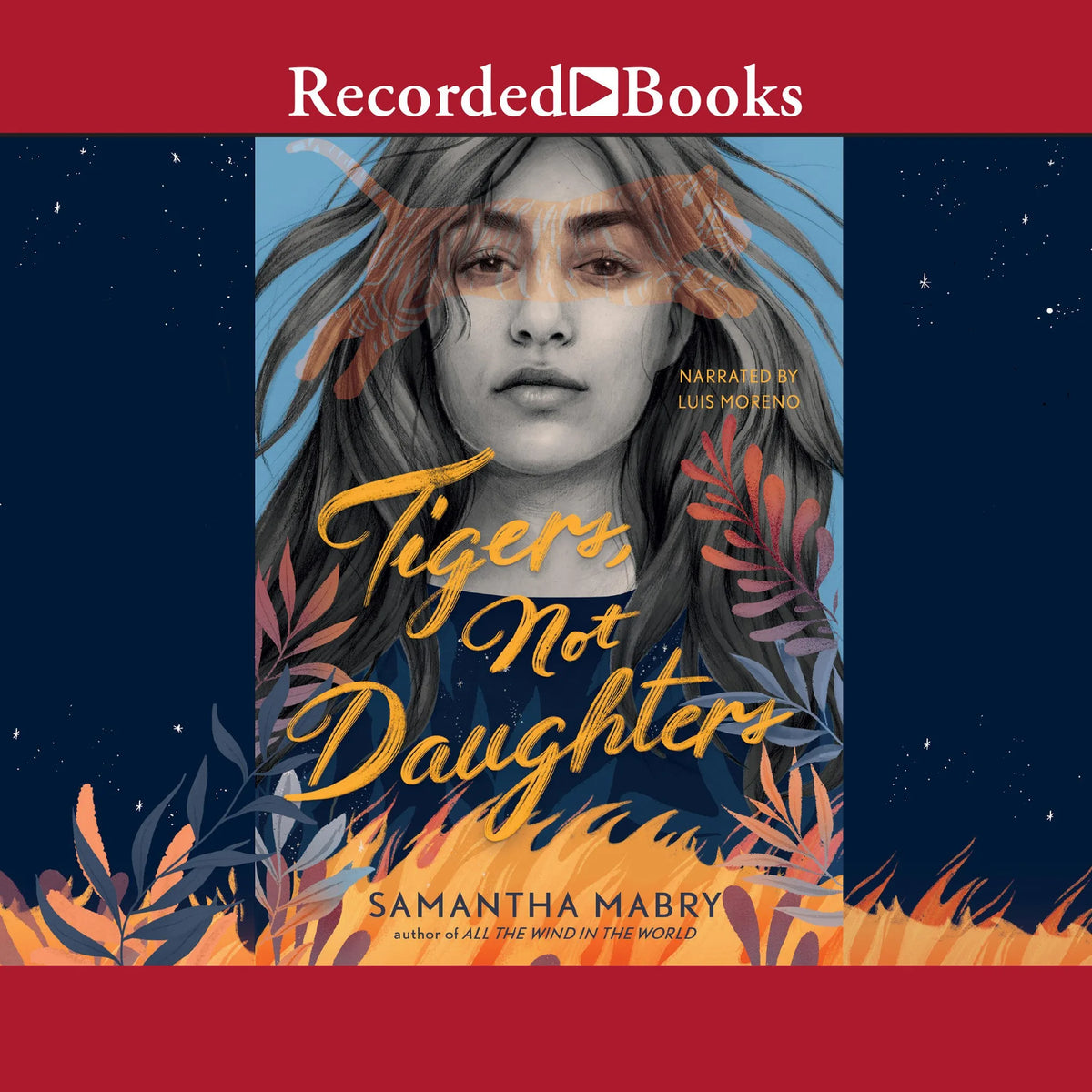 Tigers, Not Daughters