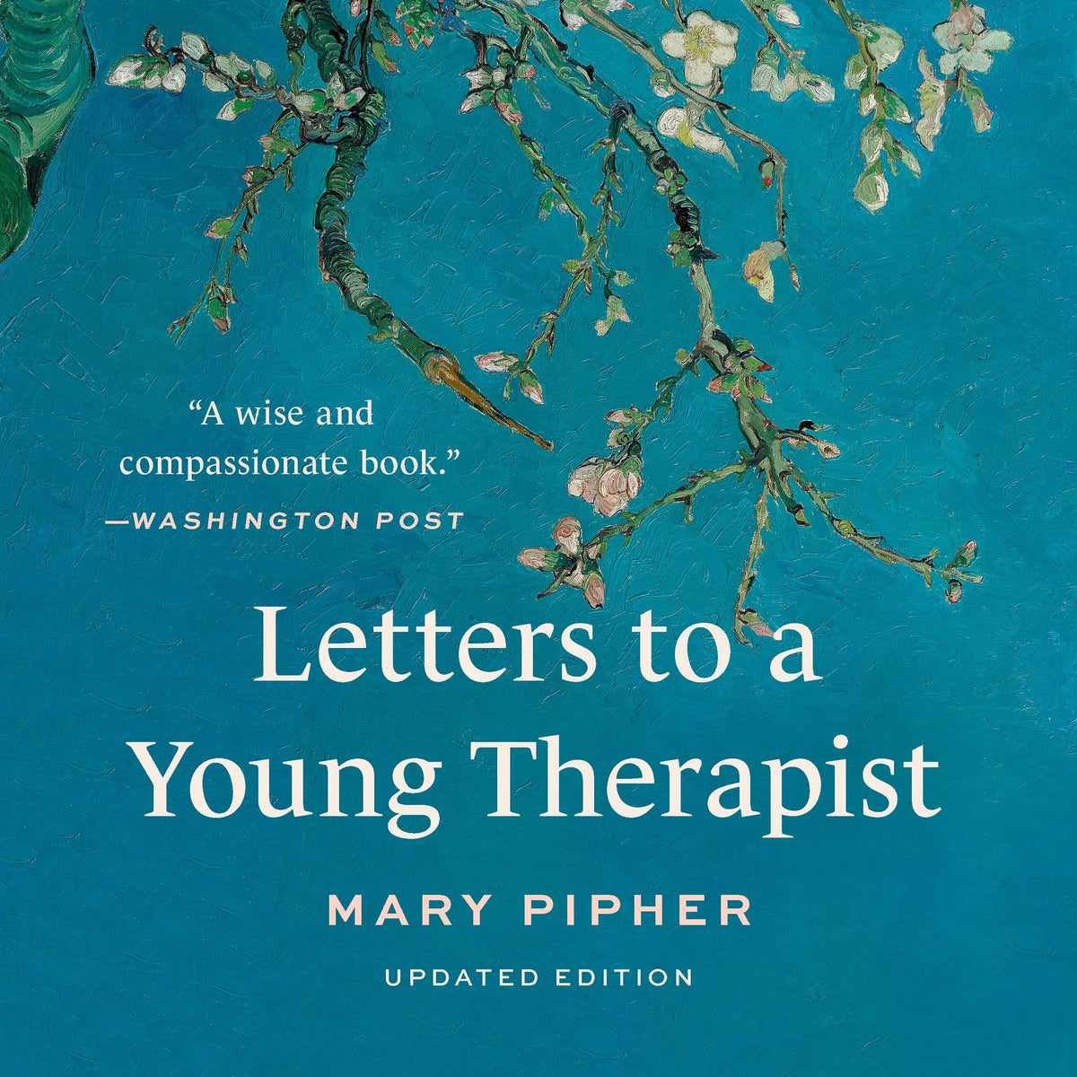 Letters to a Young Therapist