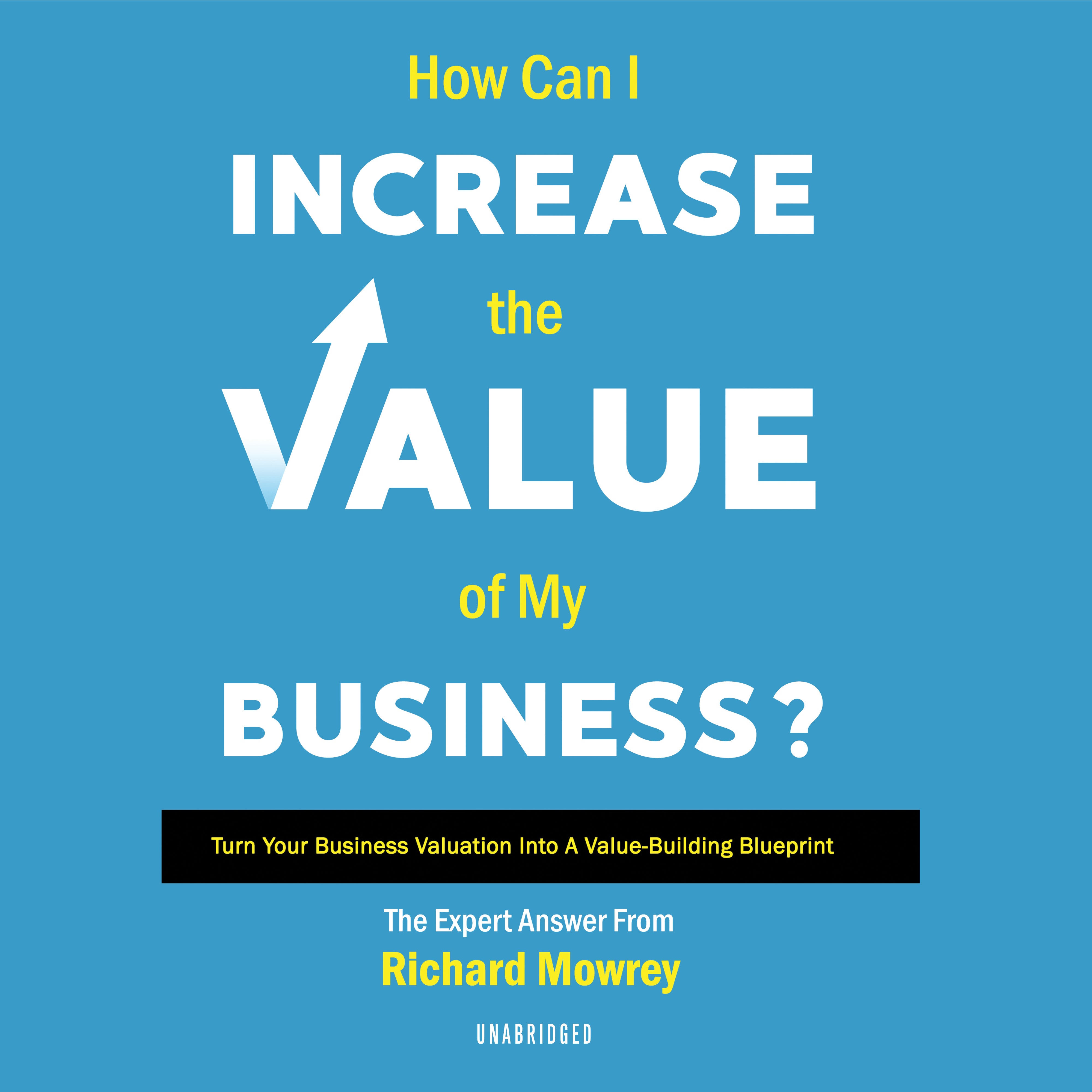 Title Cover-ess (Turn Your Business Valuation  into a Value-Building Blu