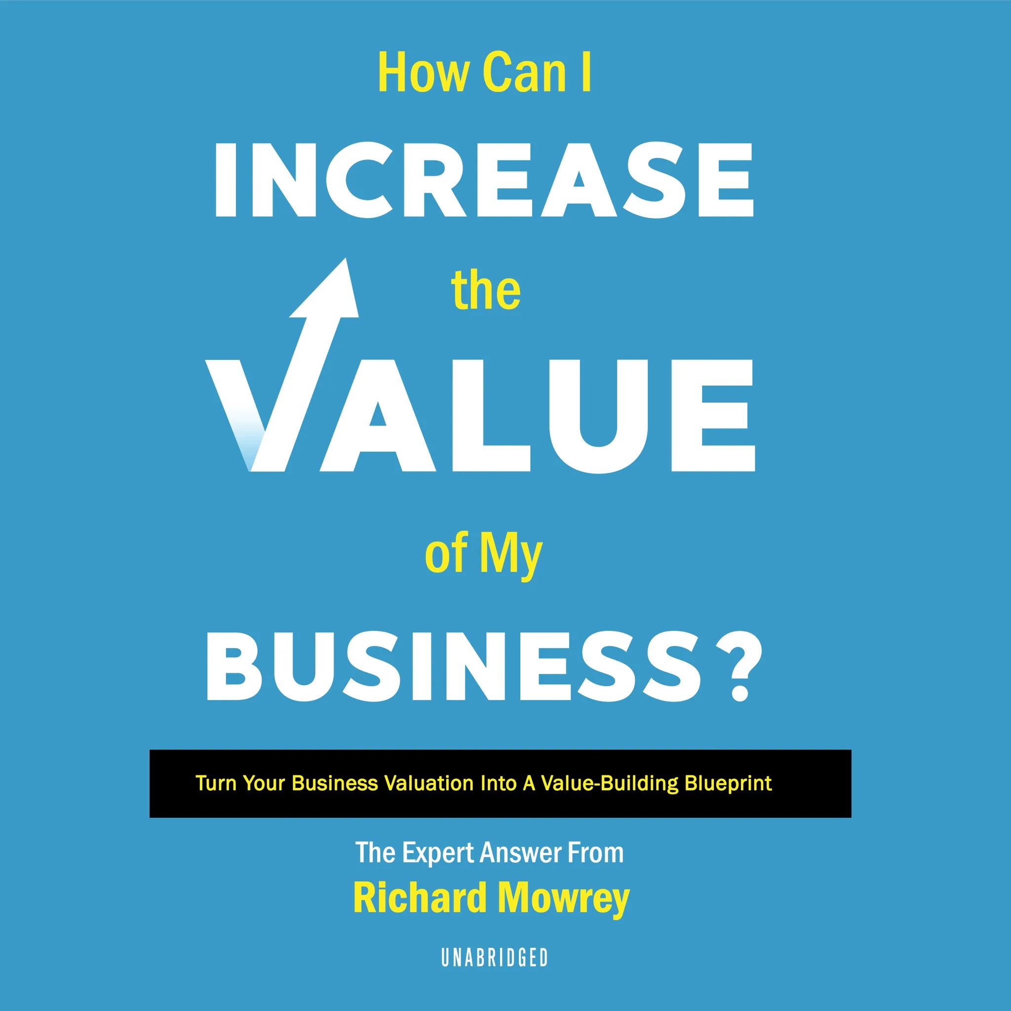 Title Cover-ess (Turn Your Business Valuation  into a Value-Building Blu