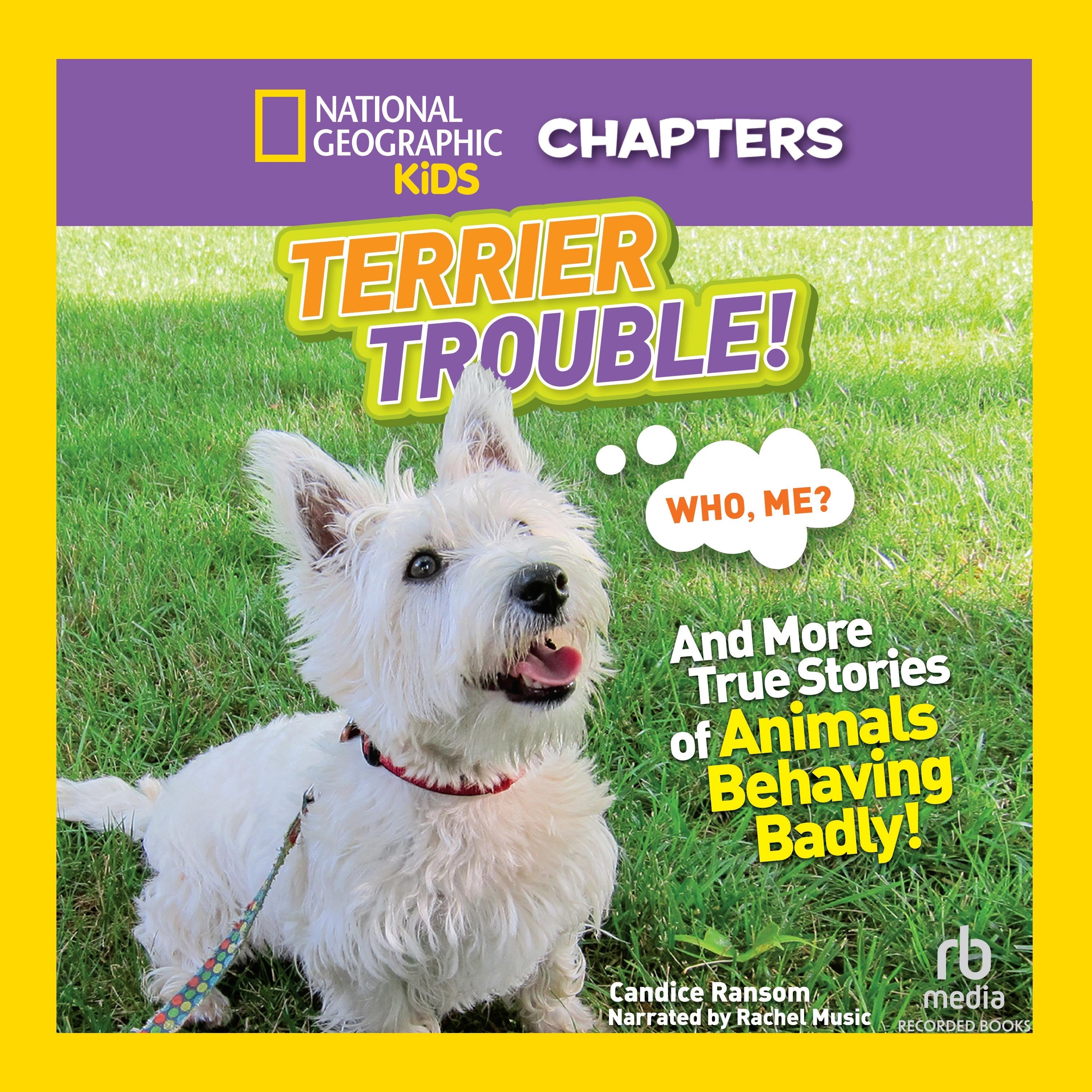 Terrier Trouble!
