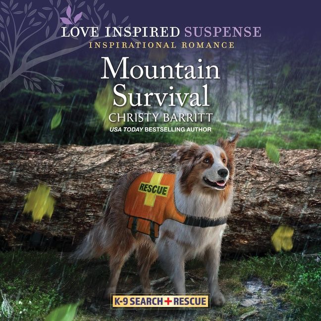 Mountain Survival