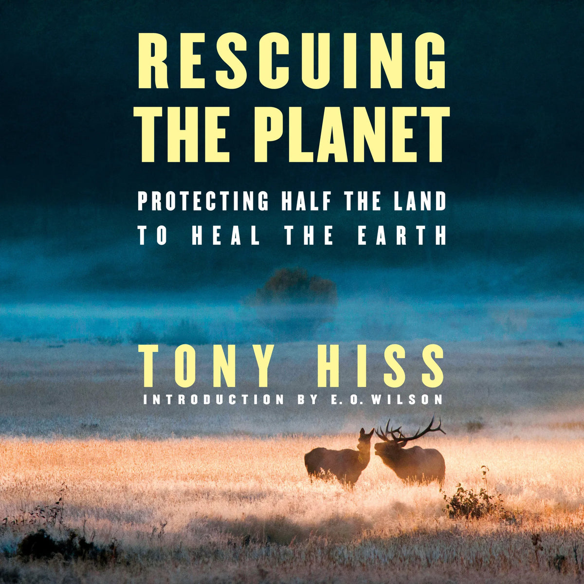 Rescuing the Planet